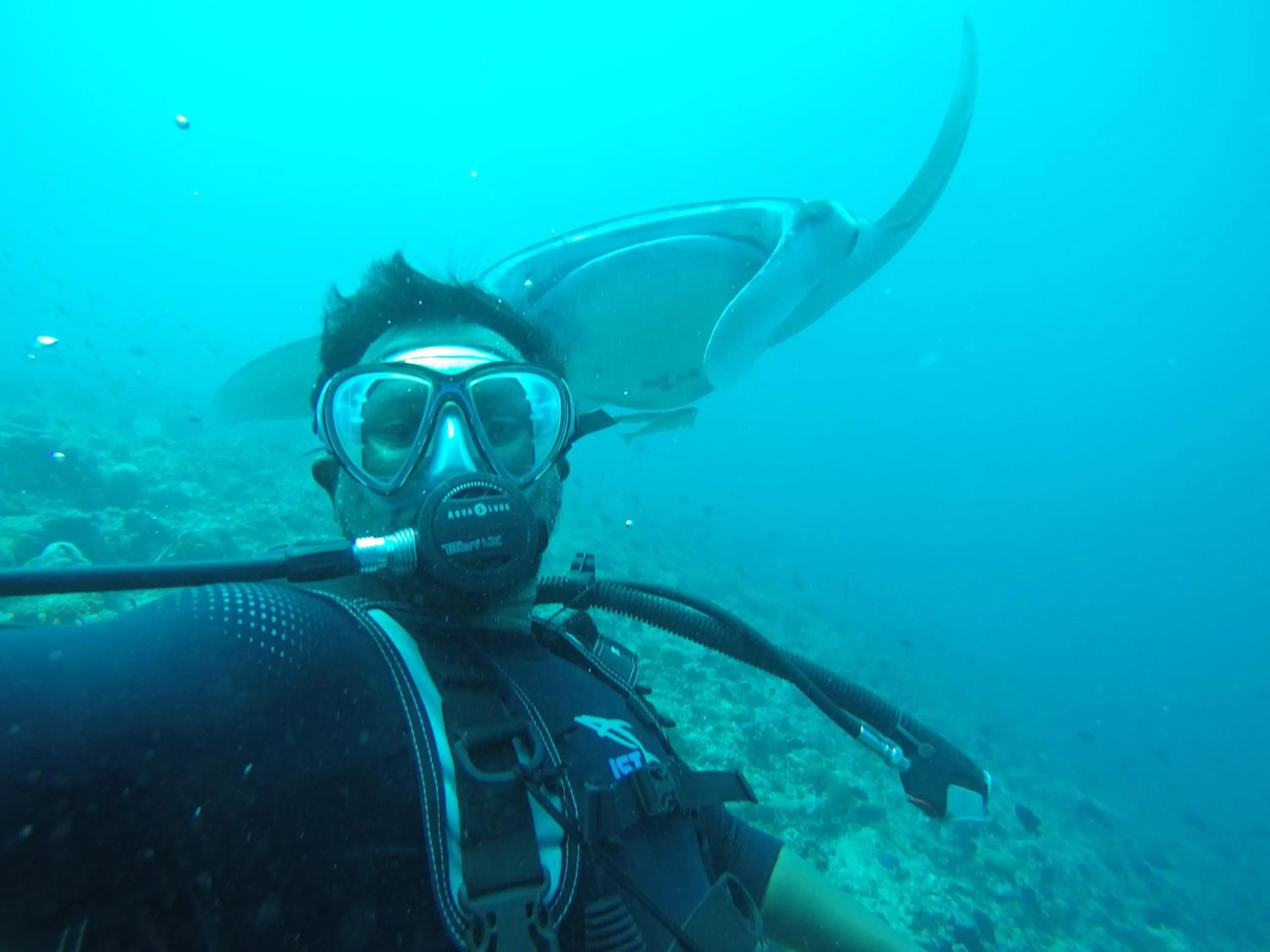 Snorkeling in Liberty Guesthouse Maldives