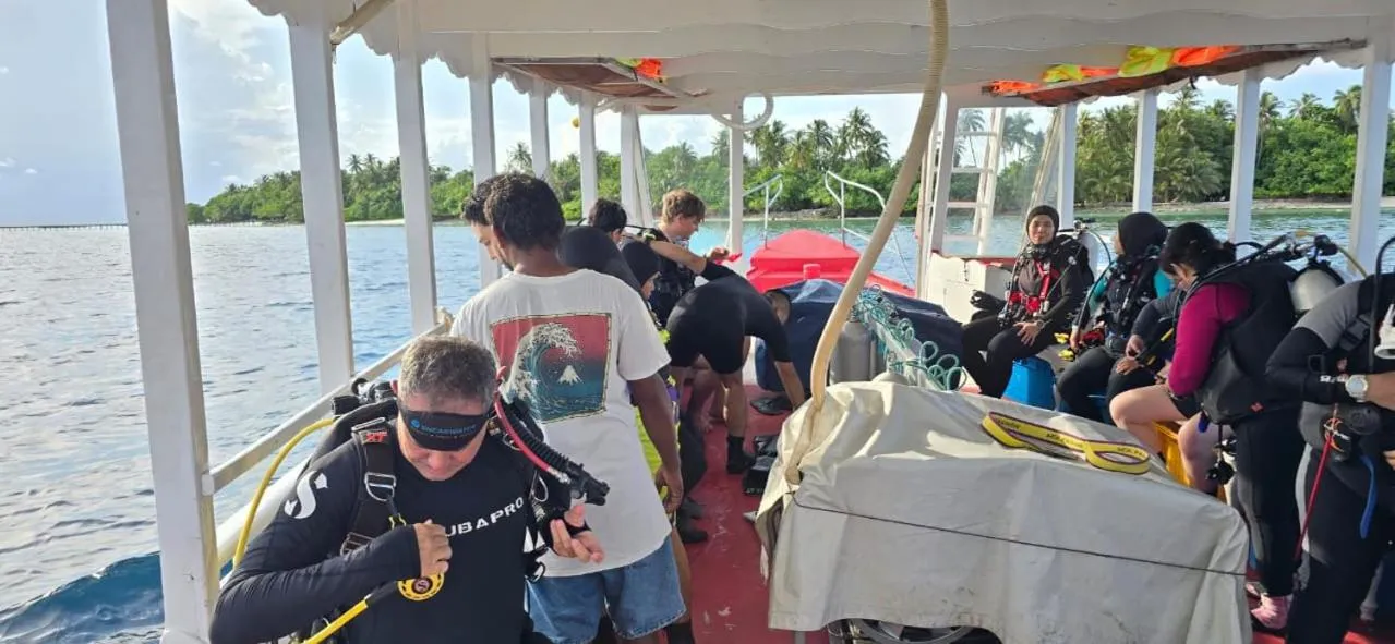 Diving in Liberty Guesthouse Maldives