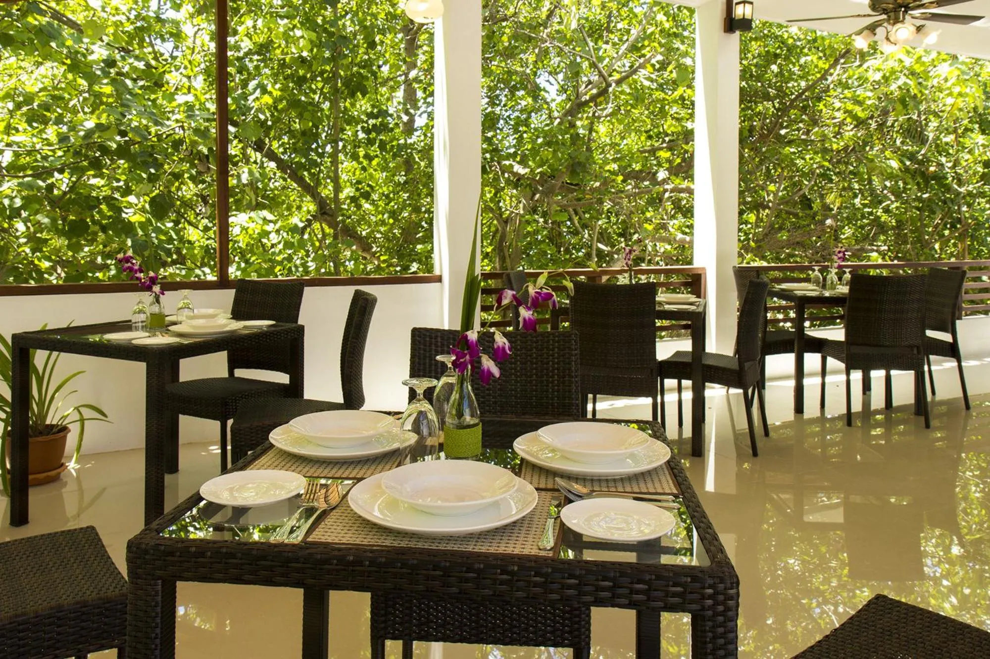 Restaurant/places to eat in Liberty Guesthouse Maldives