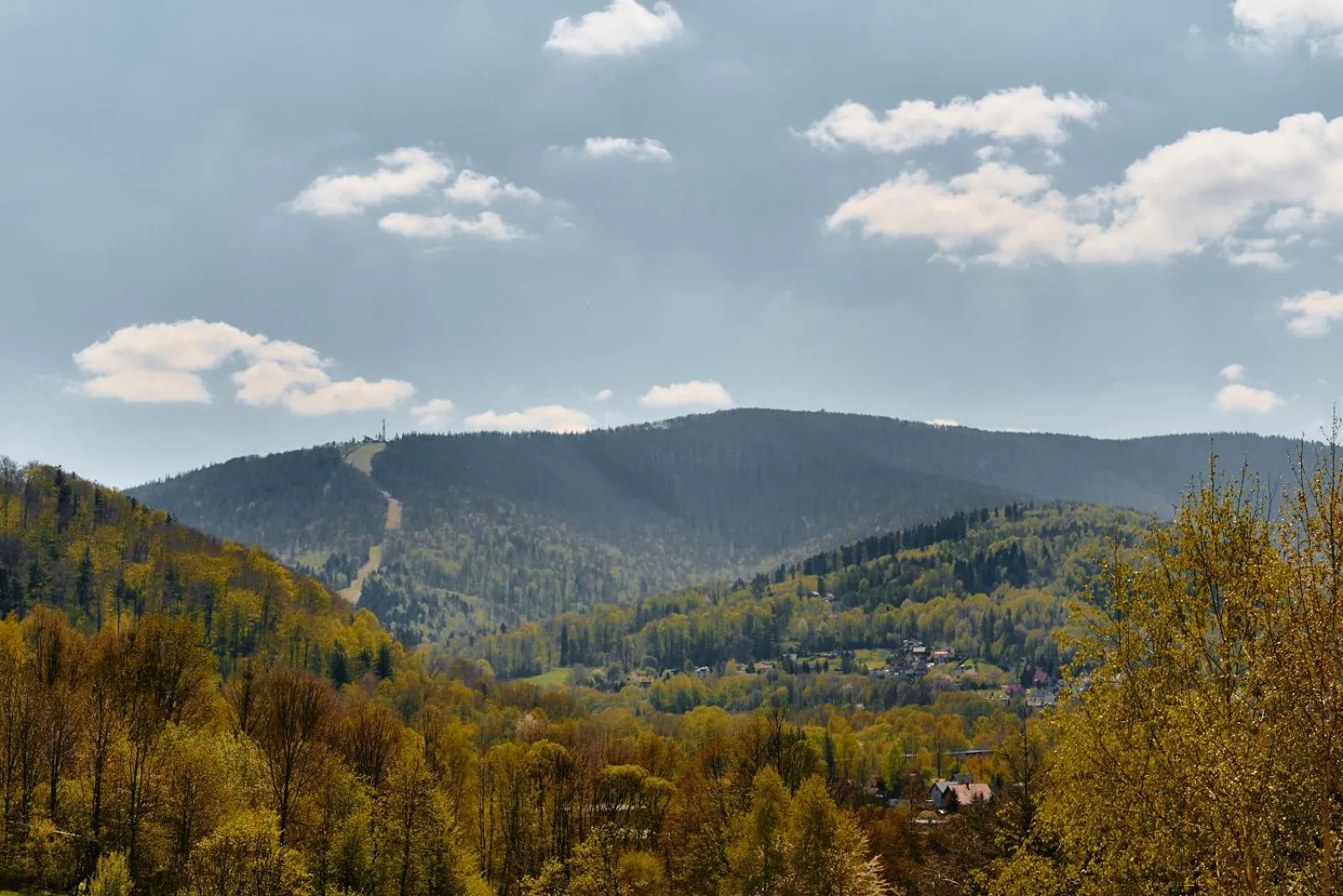 View (from property/room) in Perła Beskidu