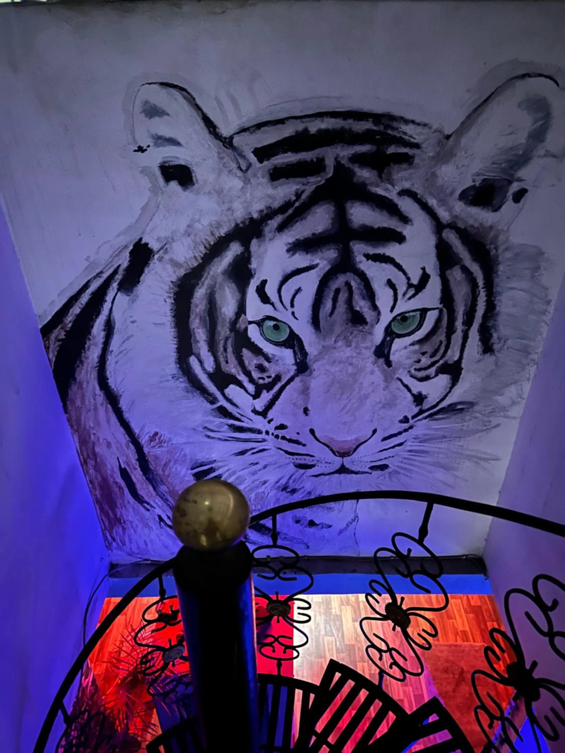 Balcony/Terrace in The Pink Chapter Hostel, Jaipur