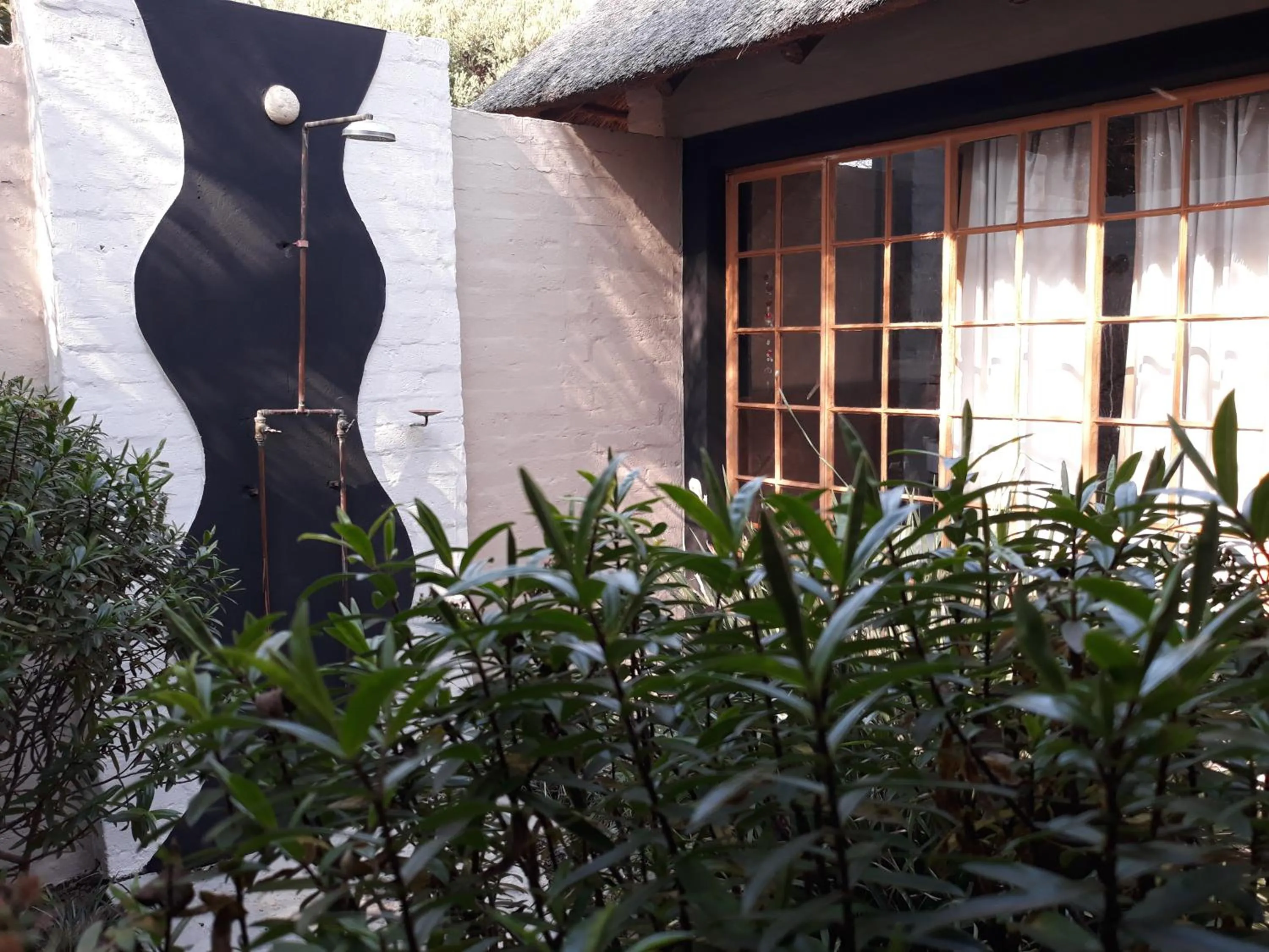 Garden in African Silhouette Guesthouse