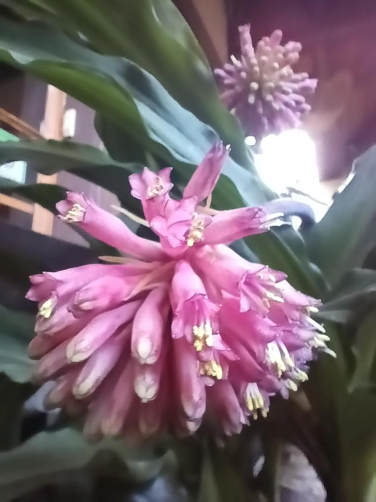 African Silhouette Guesthouse