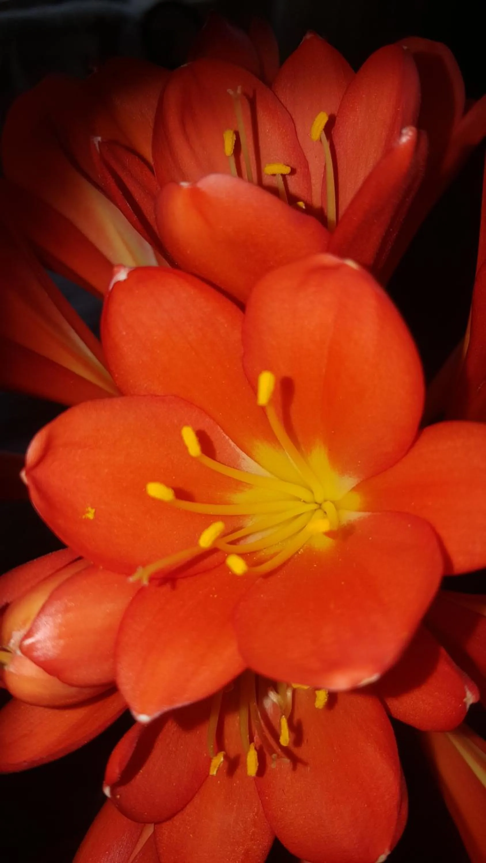 Activities in African Silhouette Guesthouse