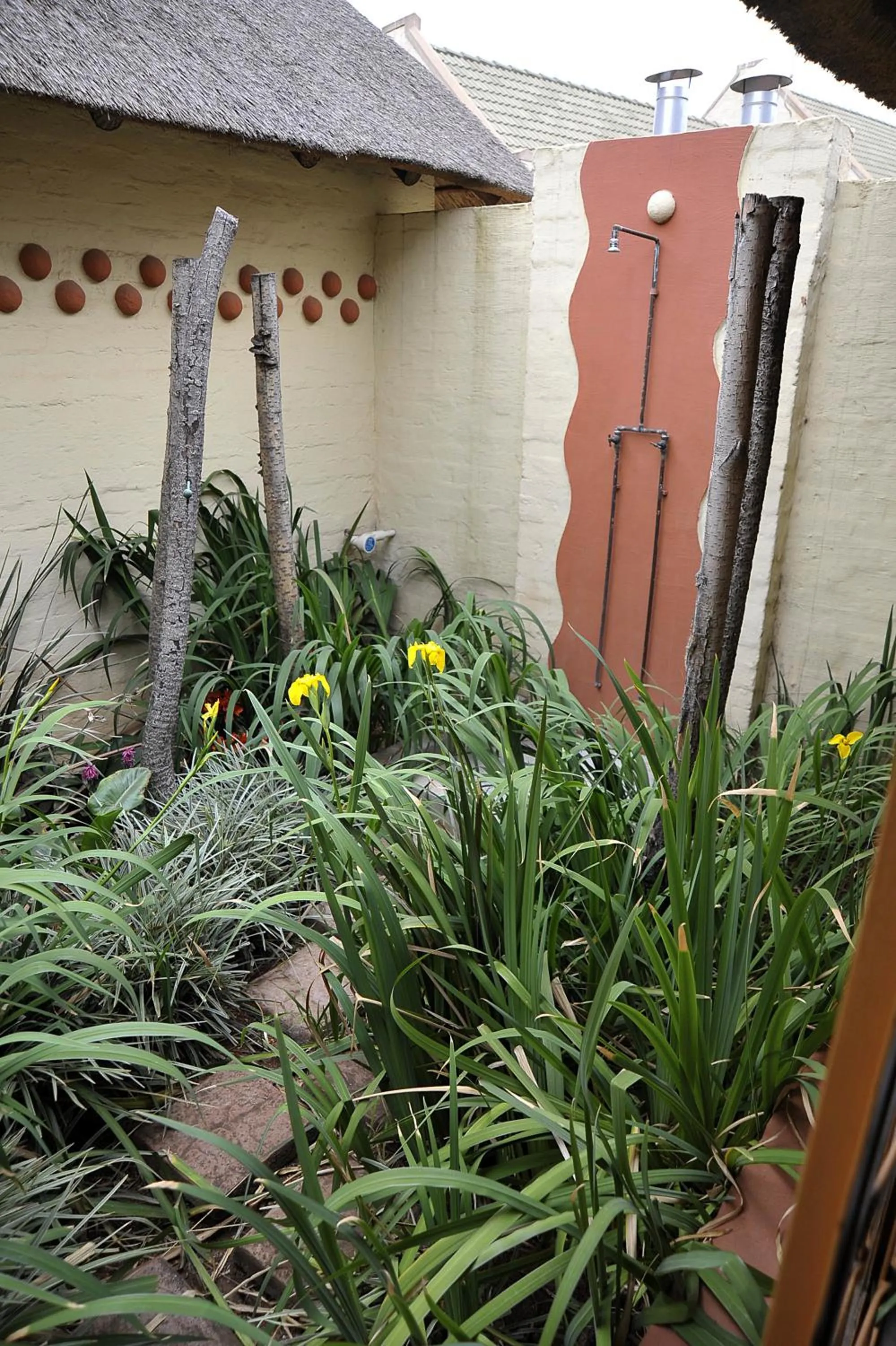 Garden in African Silhouette Guesthouse