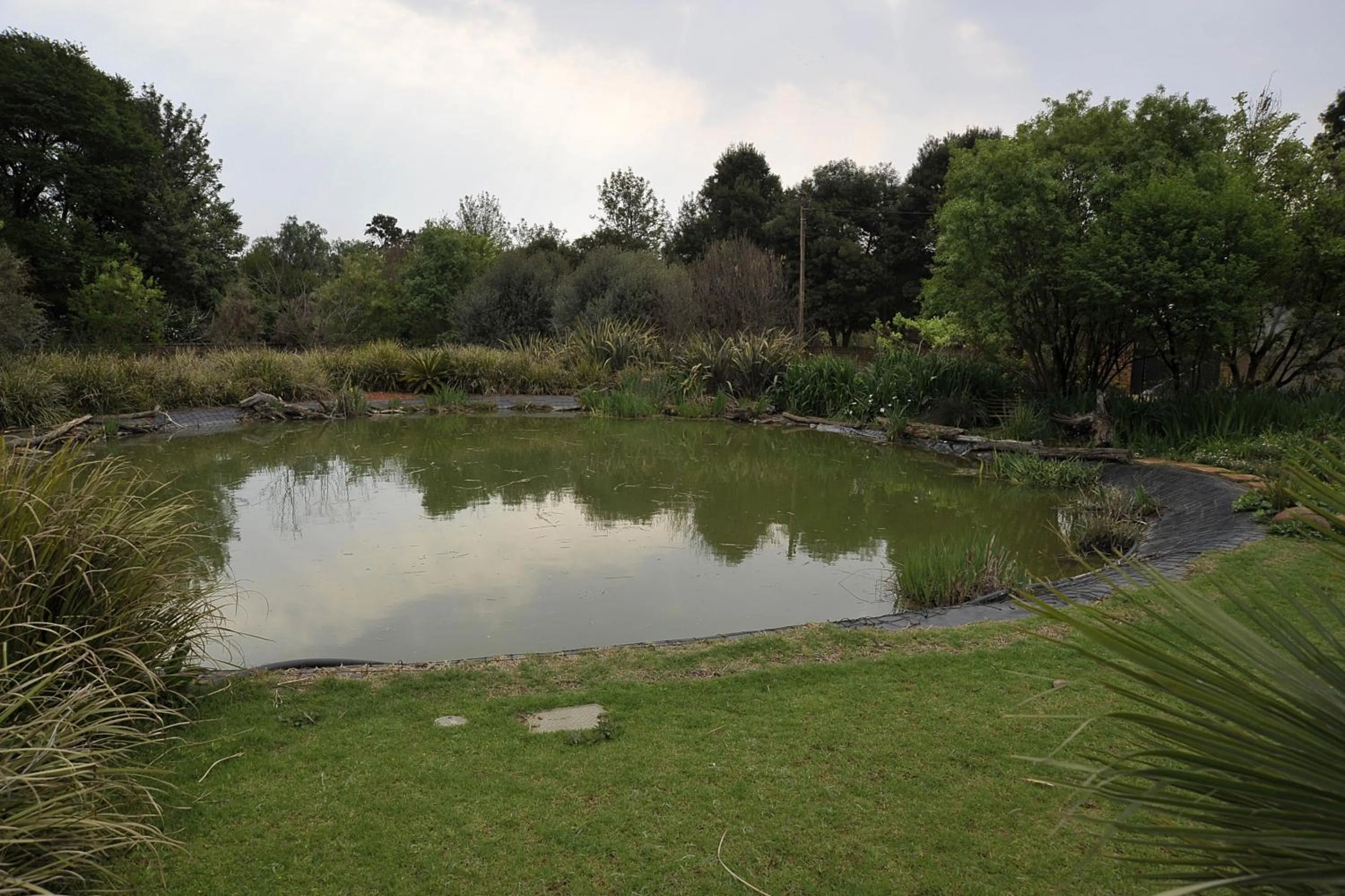 View (from property/room) in African Silhouette Guesthouse