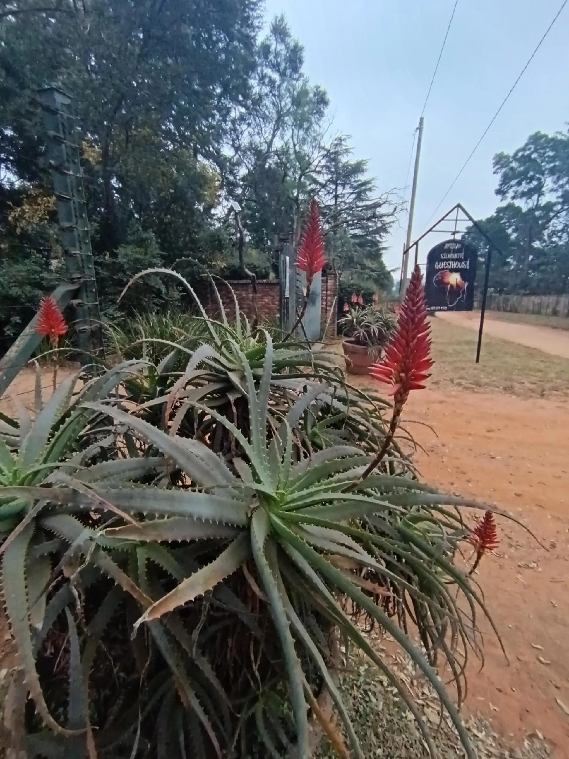 African Silhouette Guesthouse