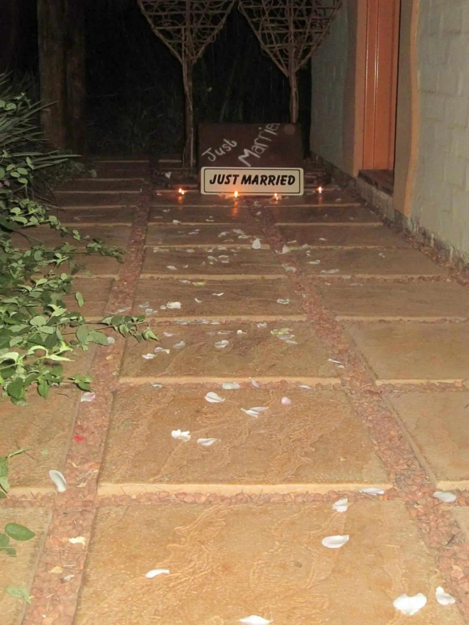 Bed in African Silhouette Guesthouse