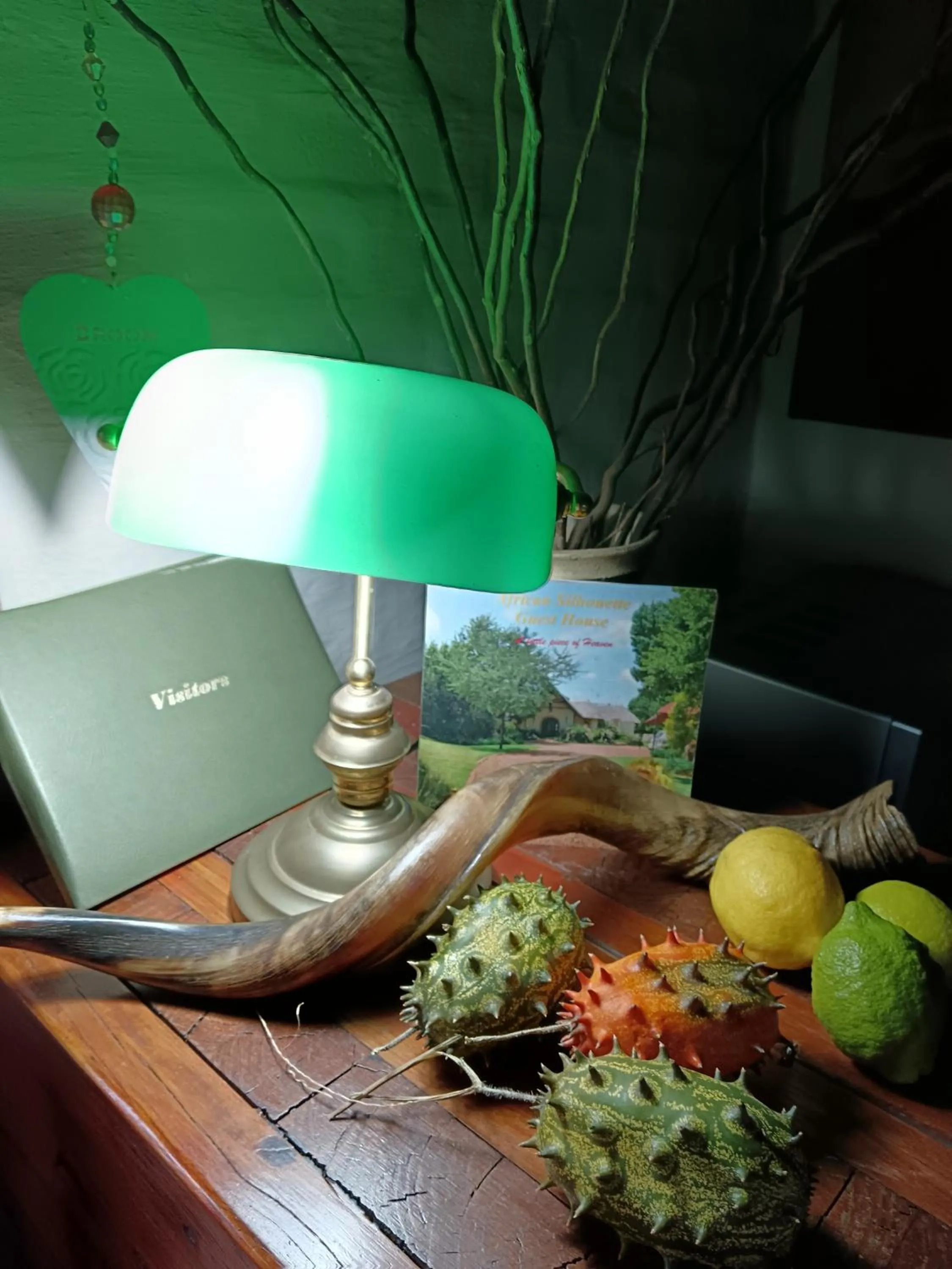 African Silhouette Guesthouse