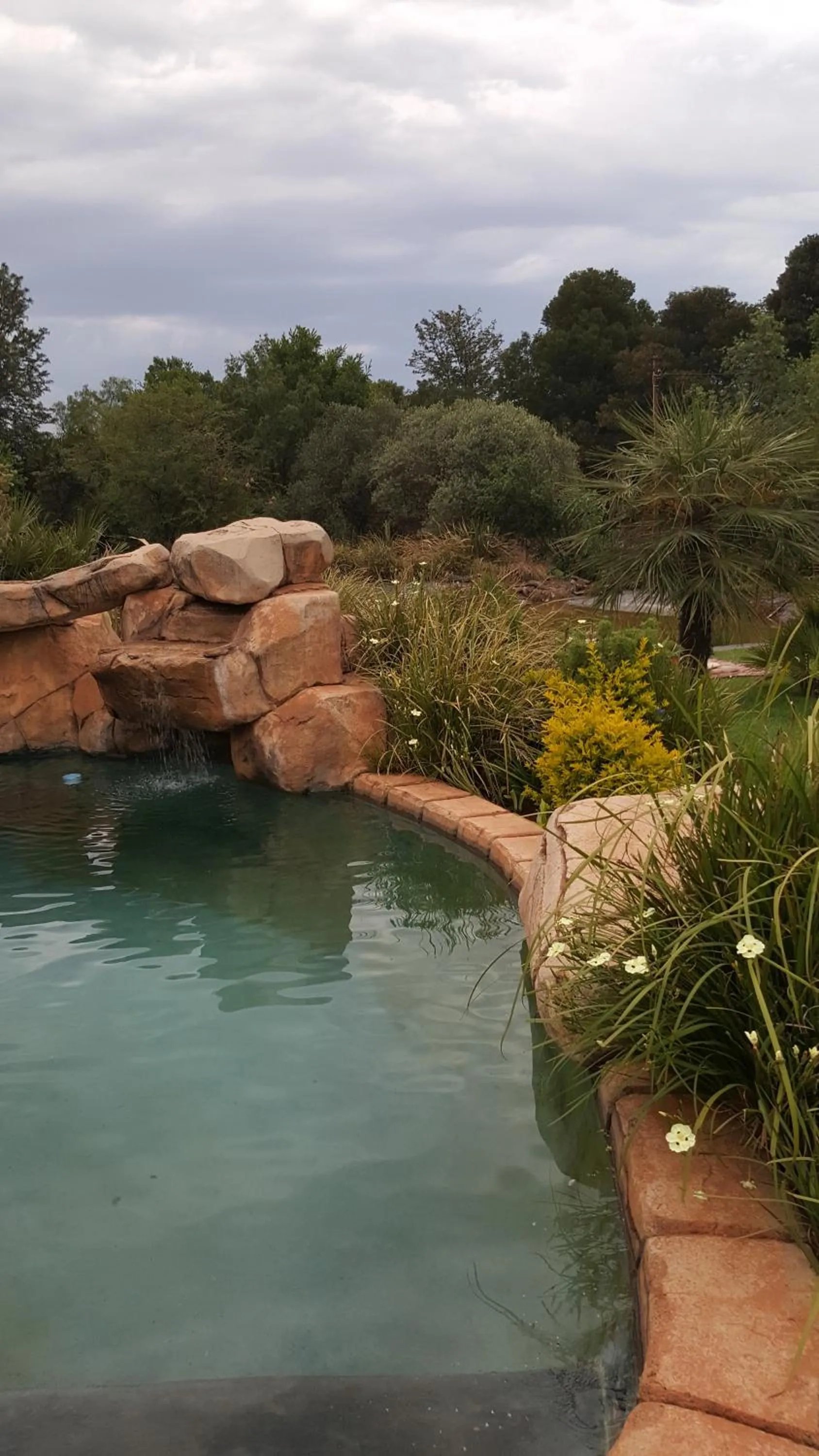 Garden in African Silhouette Guesthouse