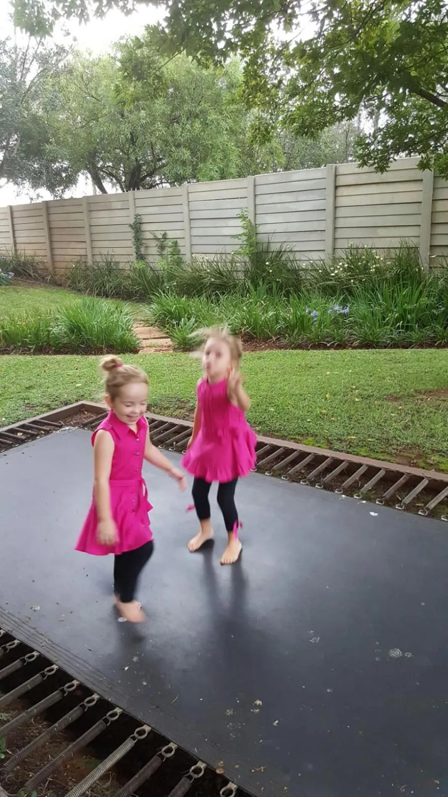 Other in African Silhouette Guesthouse