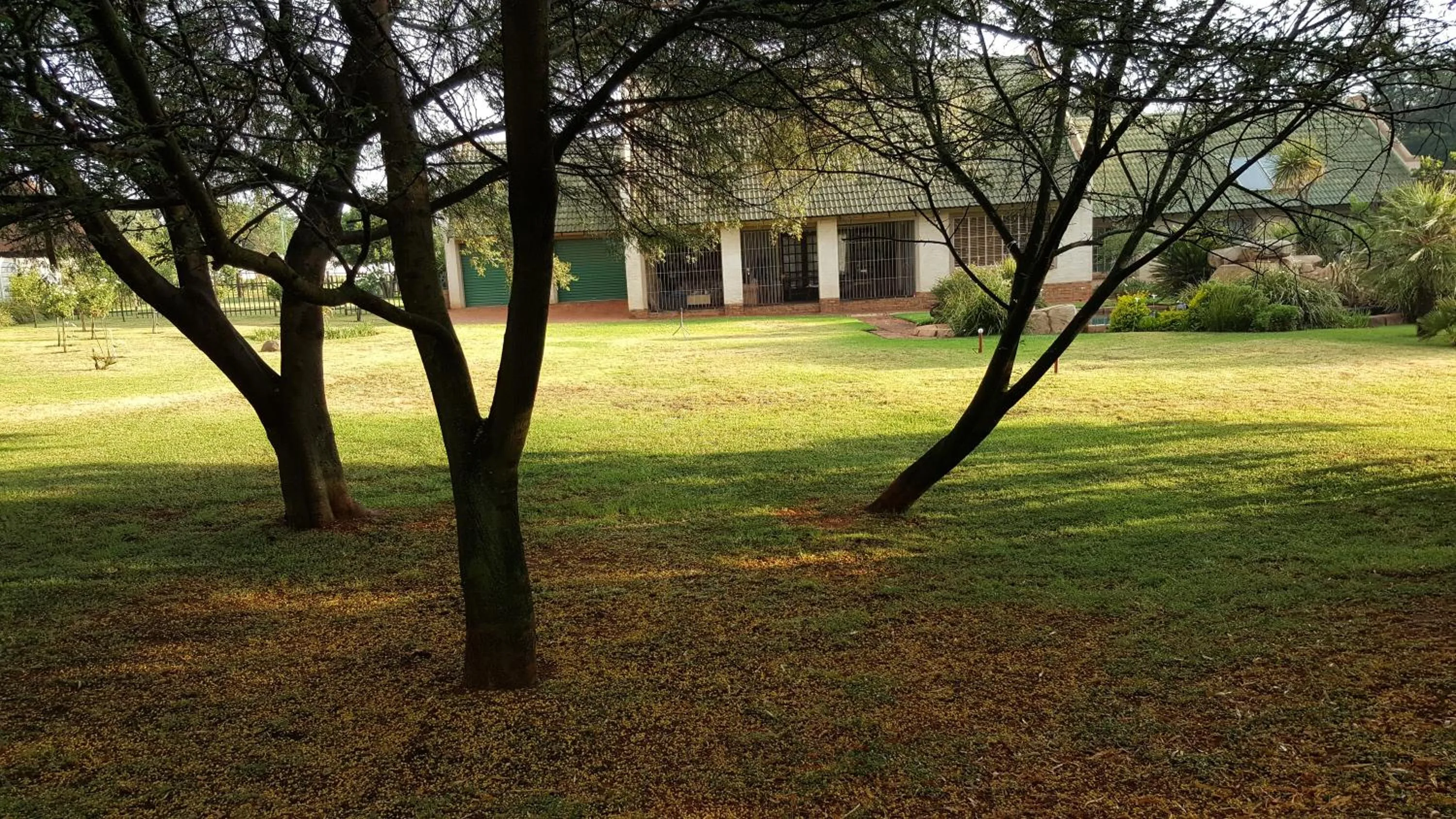 Autumn in African Silhouette Guesthouse