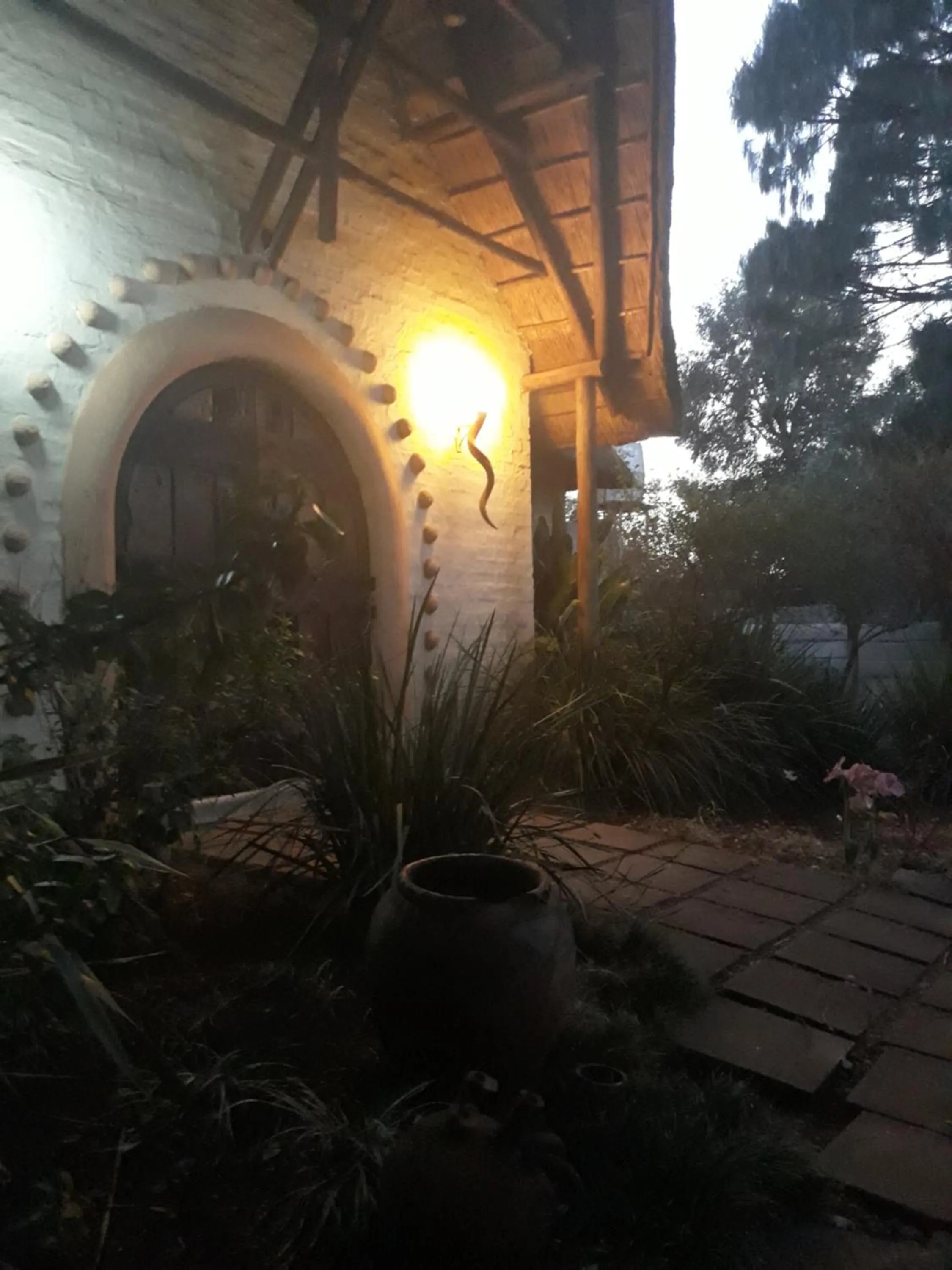 Garden in African Silhouette Guesthouse