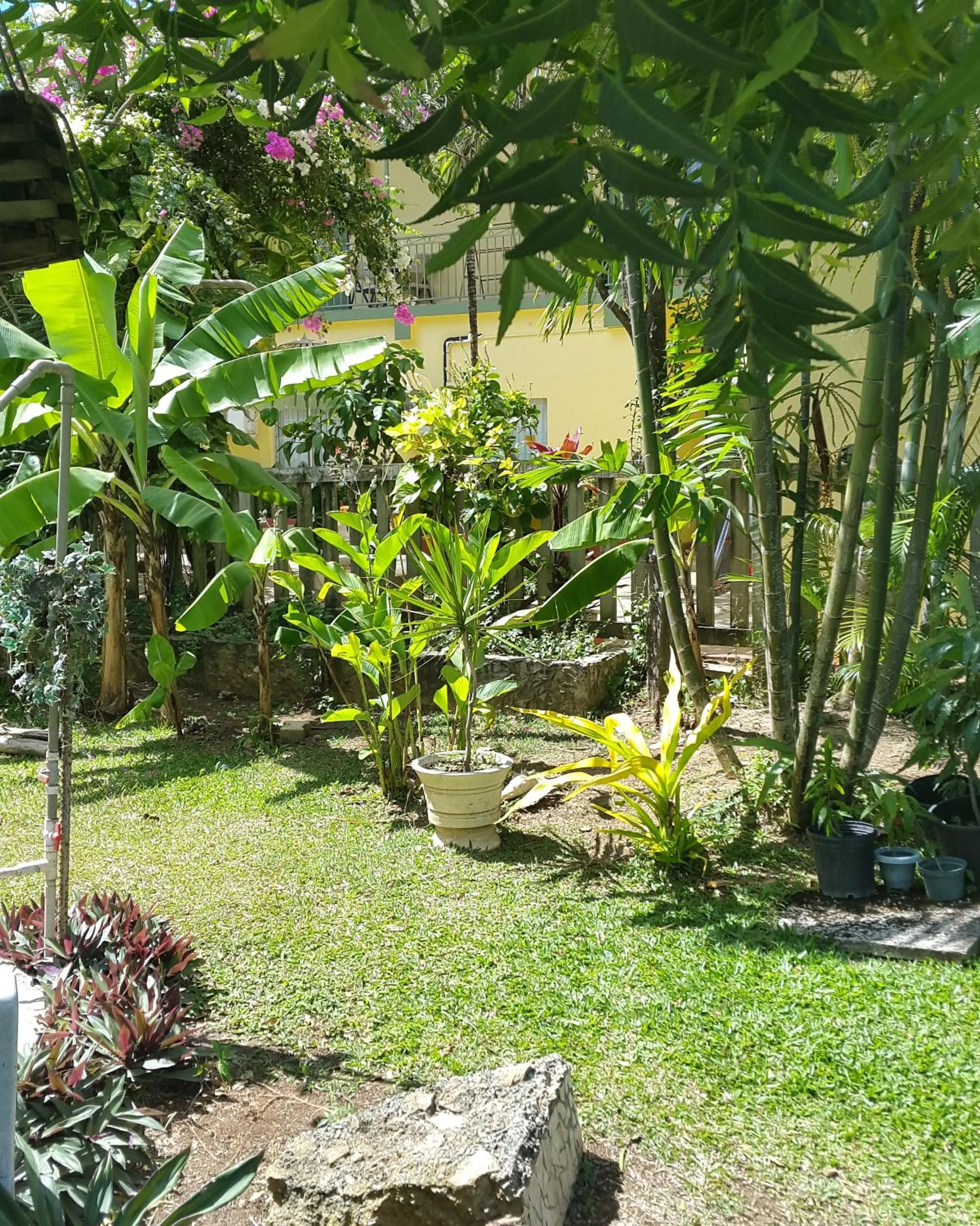 Garden in Bananaquit Tobago -Stay Near the Beach