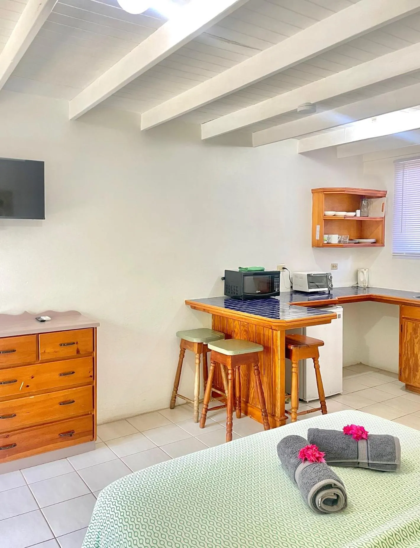 TV and multimedia in Bananaquit Tobago -Stay Near the Beach