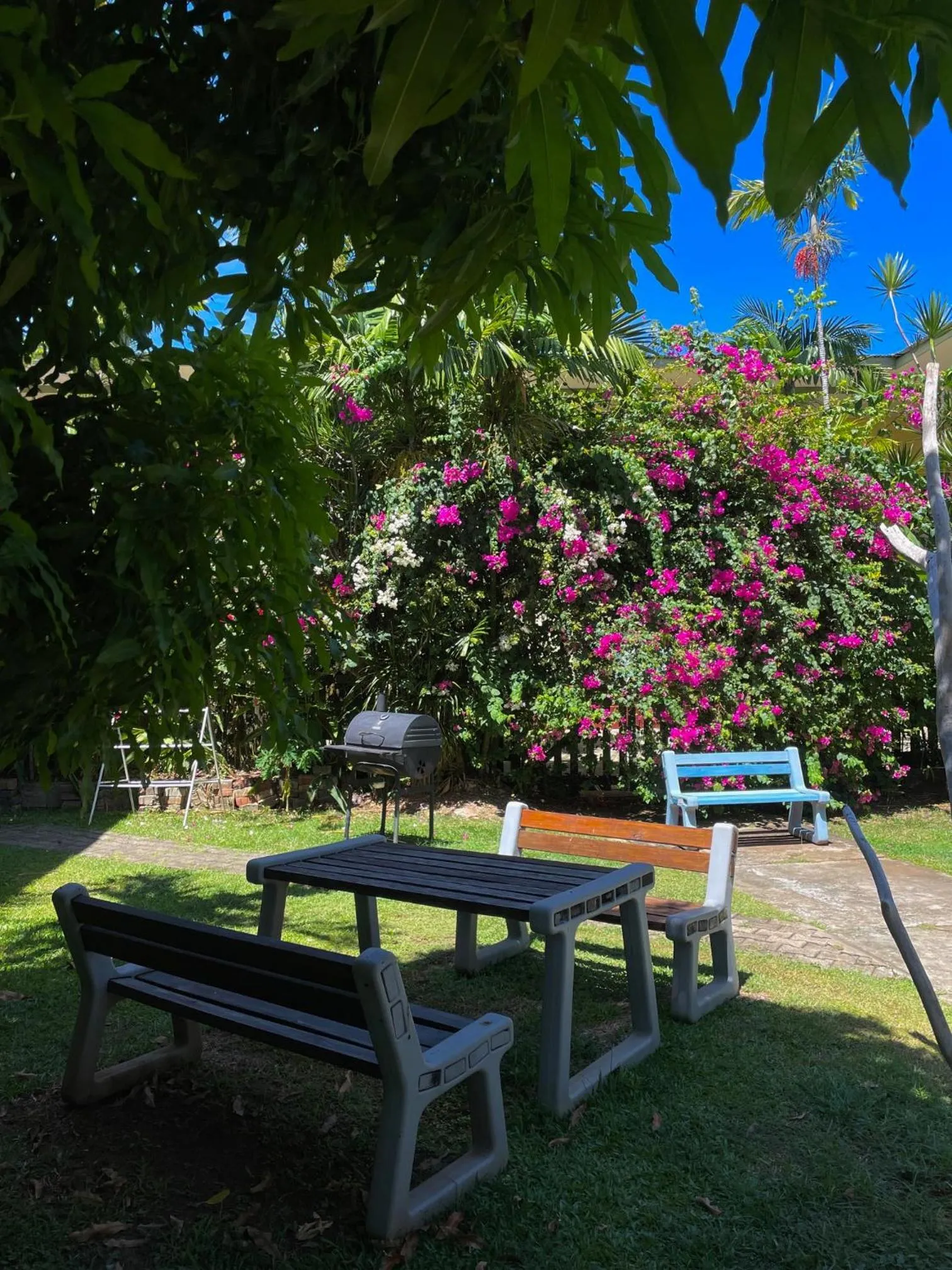 Natural landscape in Bananaquit Tobago -Stay Near the Beach
