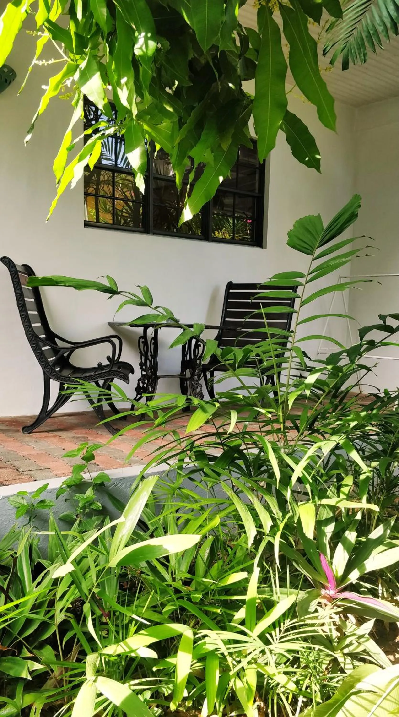 Day in Bananaquit Tobago -Stay Near the Beach