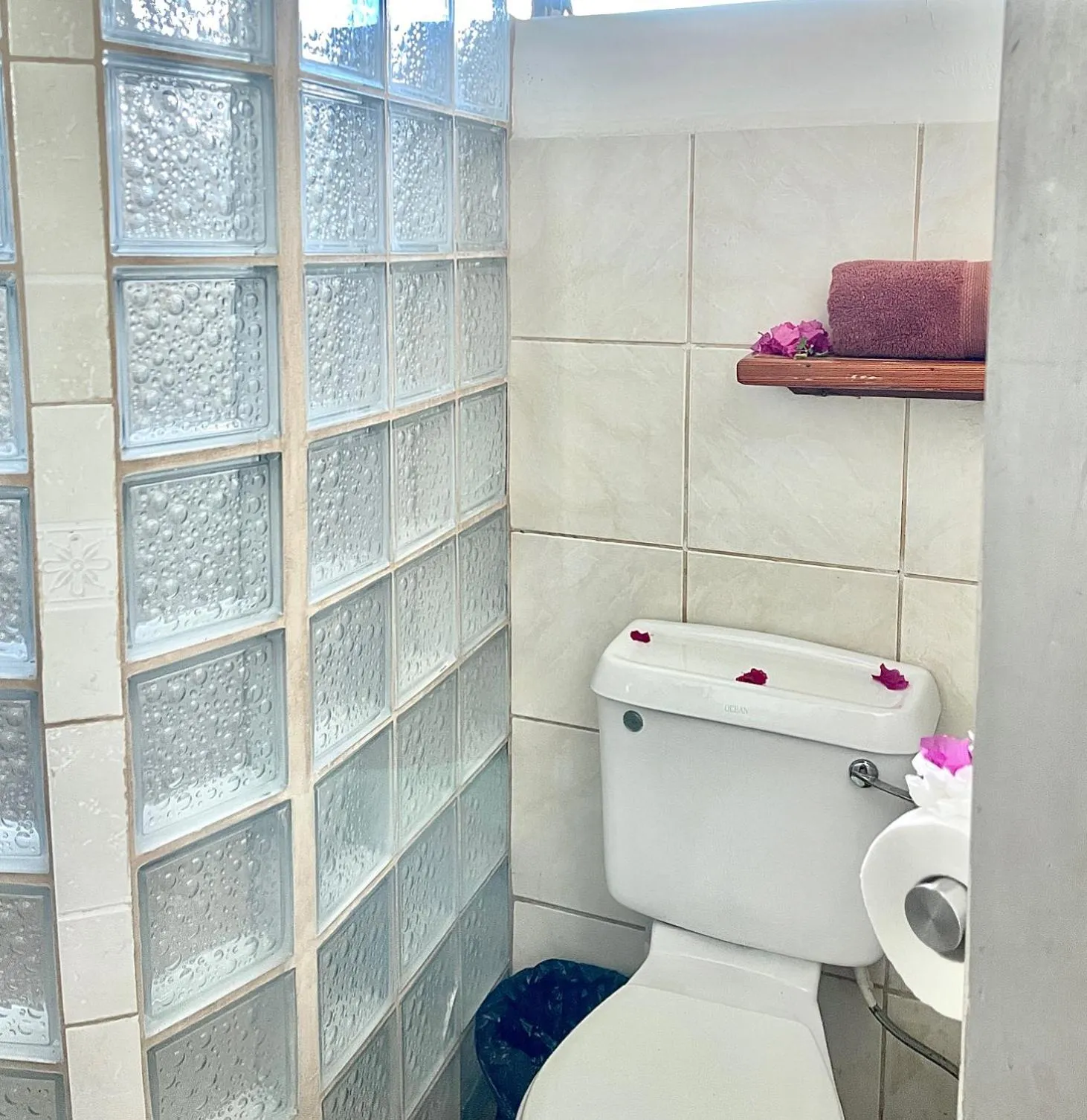 Toilet in Bananaquit Tobago -Stay Near the Beach
