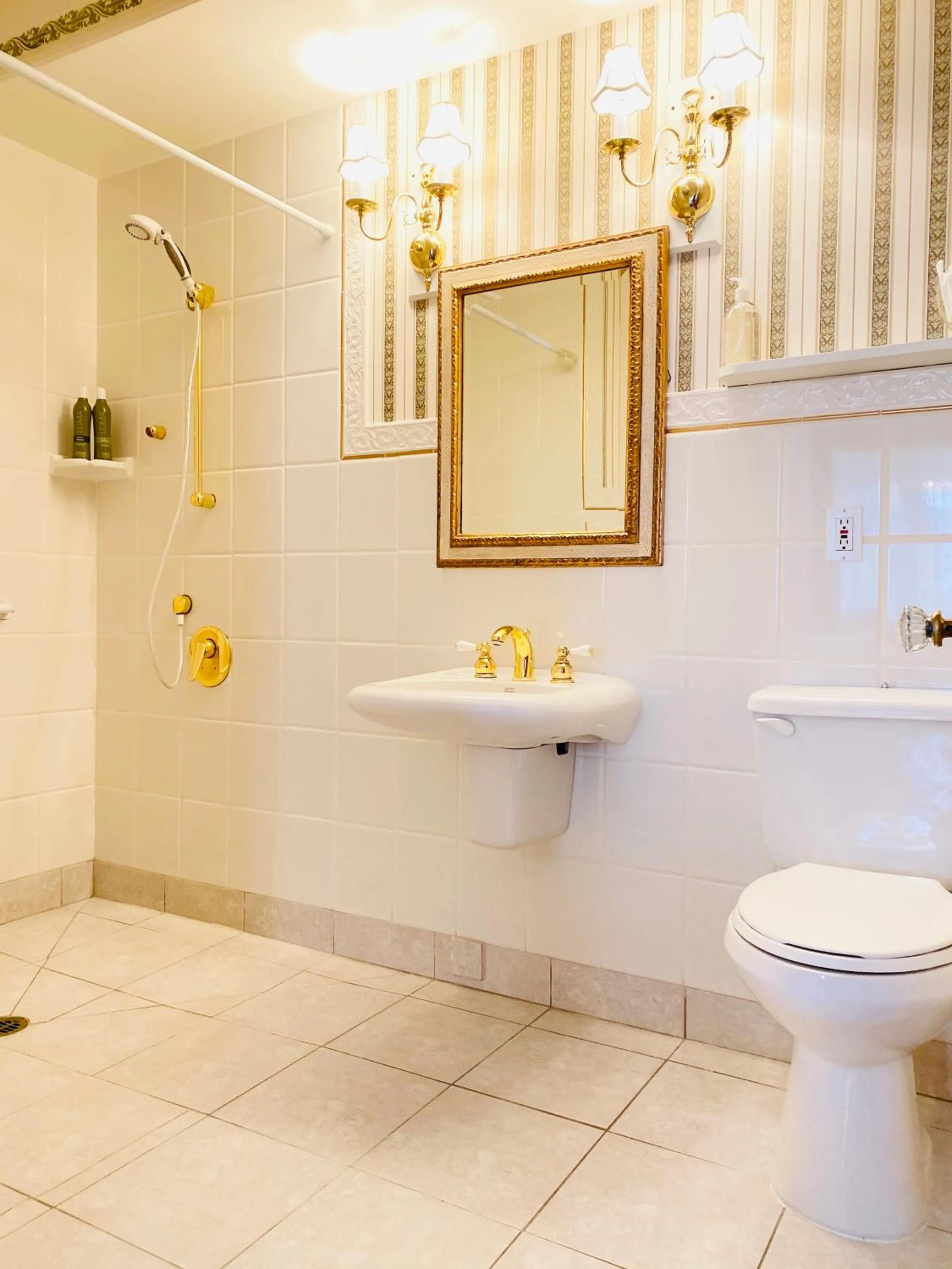 Shower in Princess and the Pea Hotel