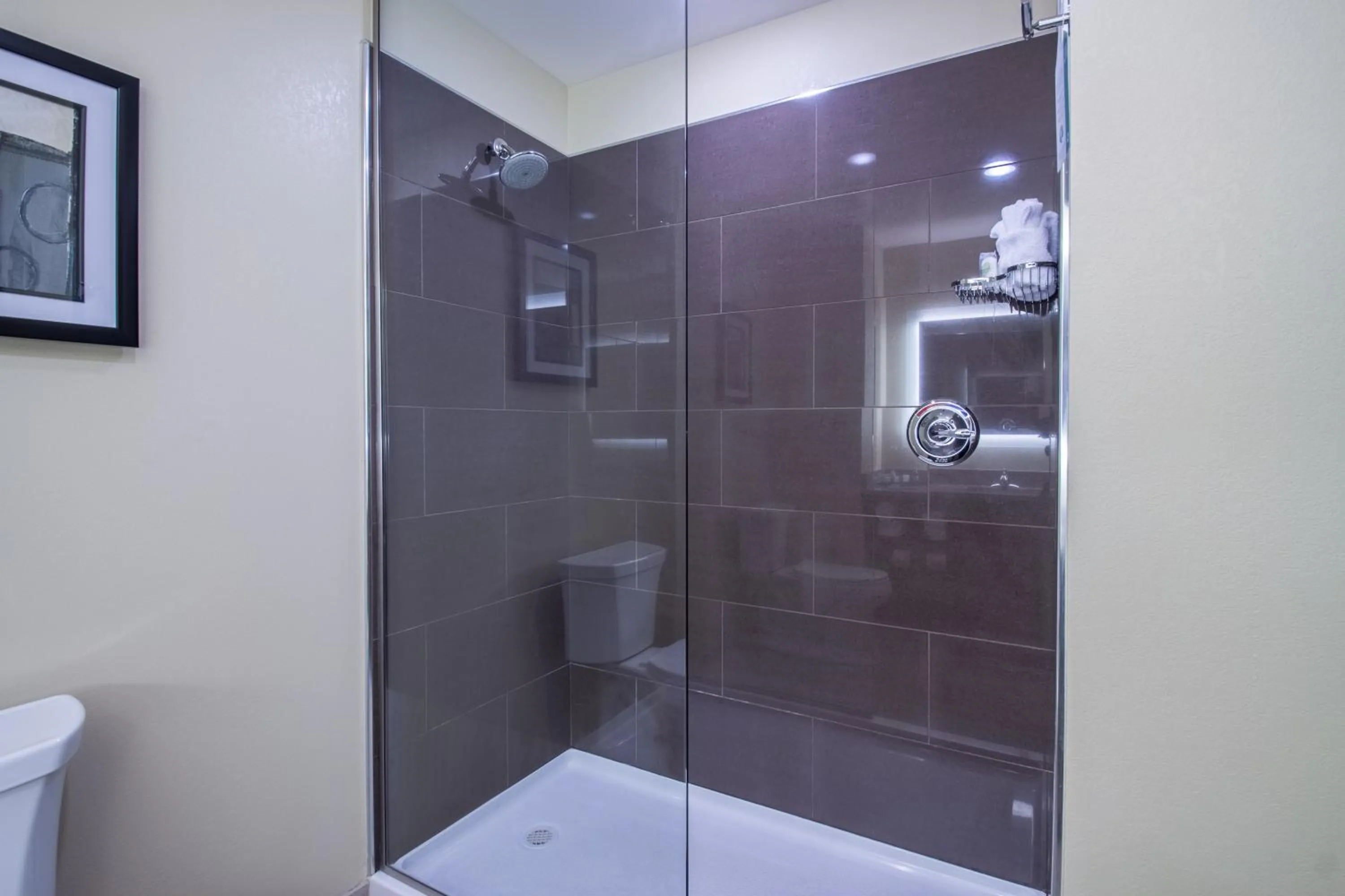 Shower in Cobblestone Inn & Suites - St Marys