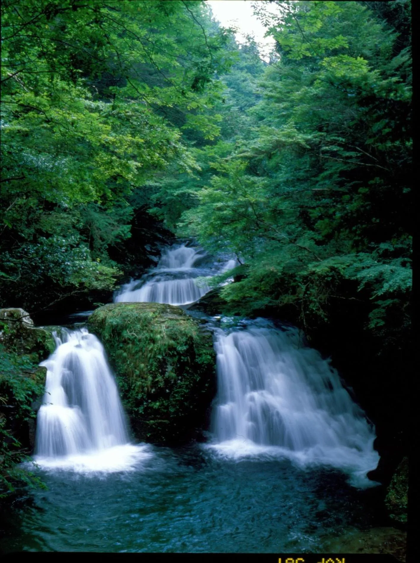 Nearby landmark in Shorenji Lake Hotel
