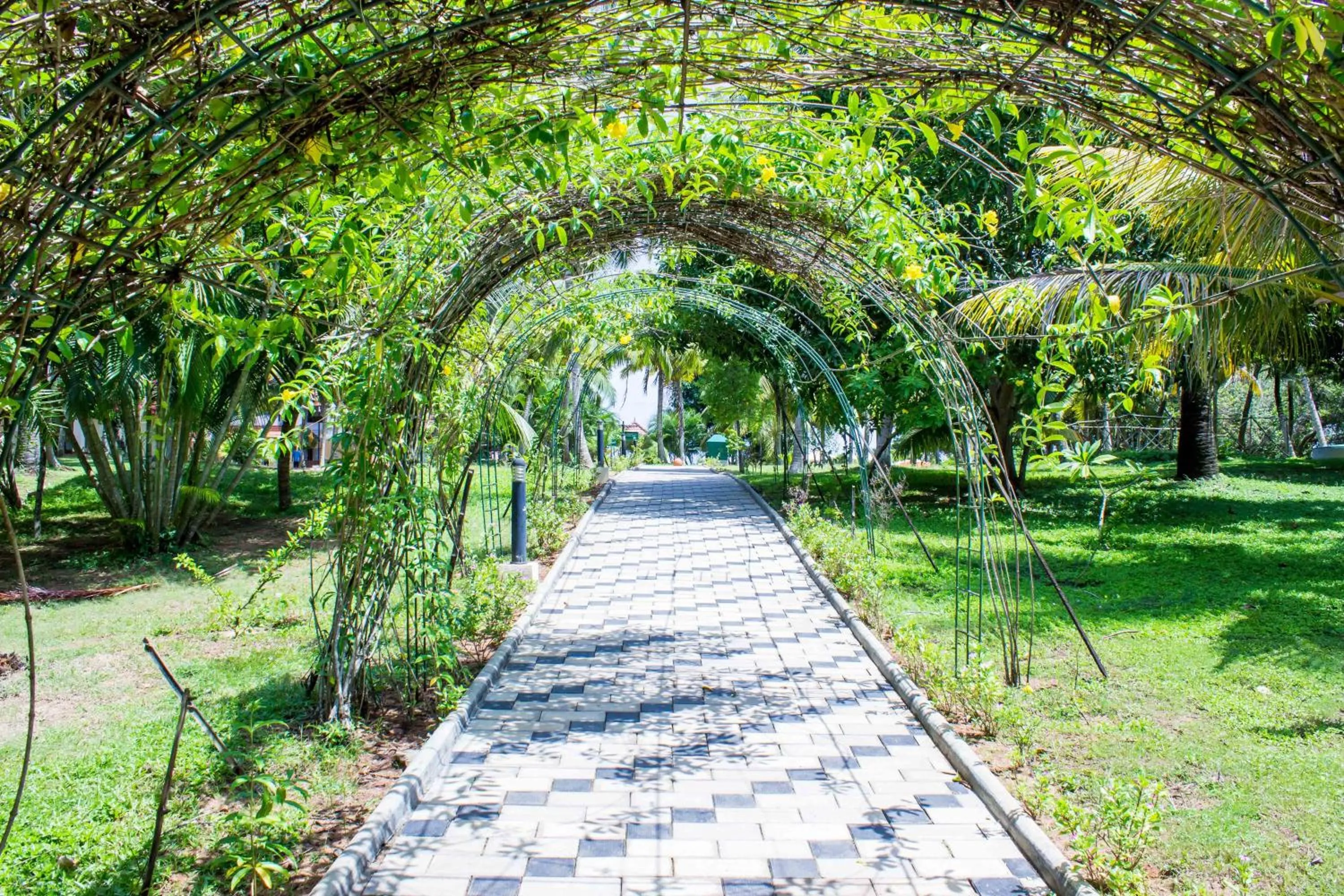 Day in Isola Di Cocco Ayurvedic Beach Resort