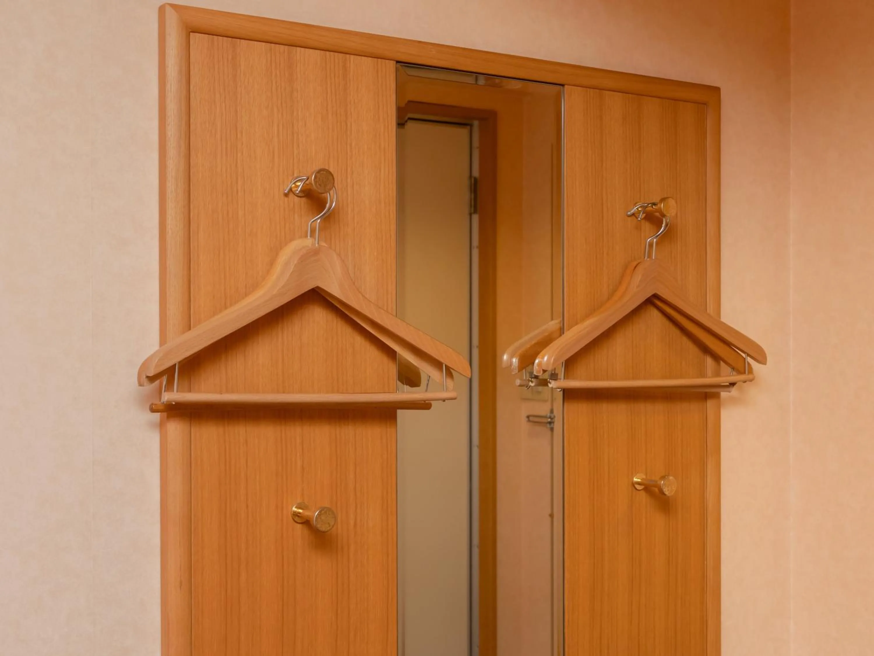 Photo of the whole room in Tabist Hirosaki Touei Hotel