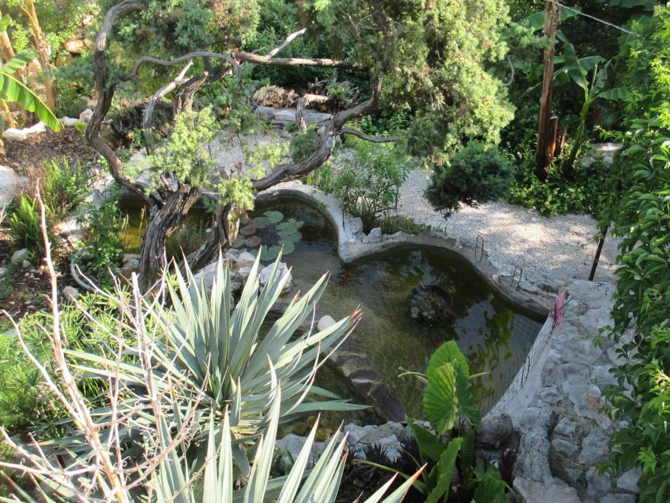 Garden in Relax tiny villas 40 meters of the beach