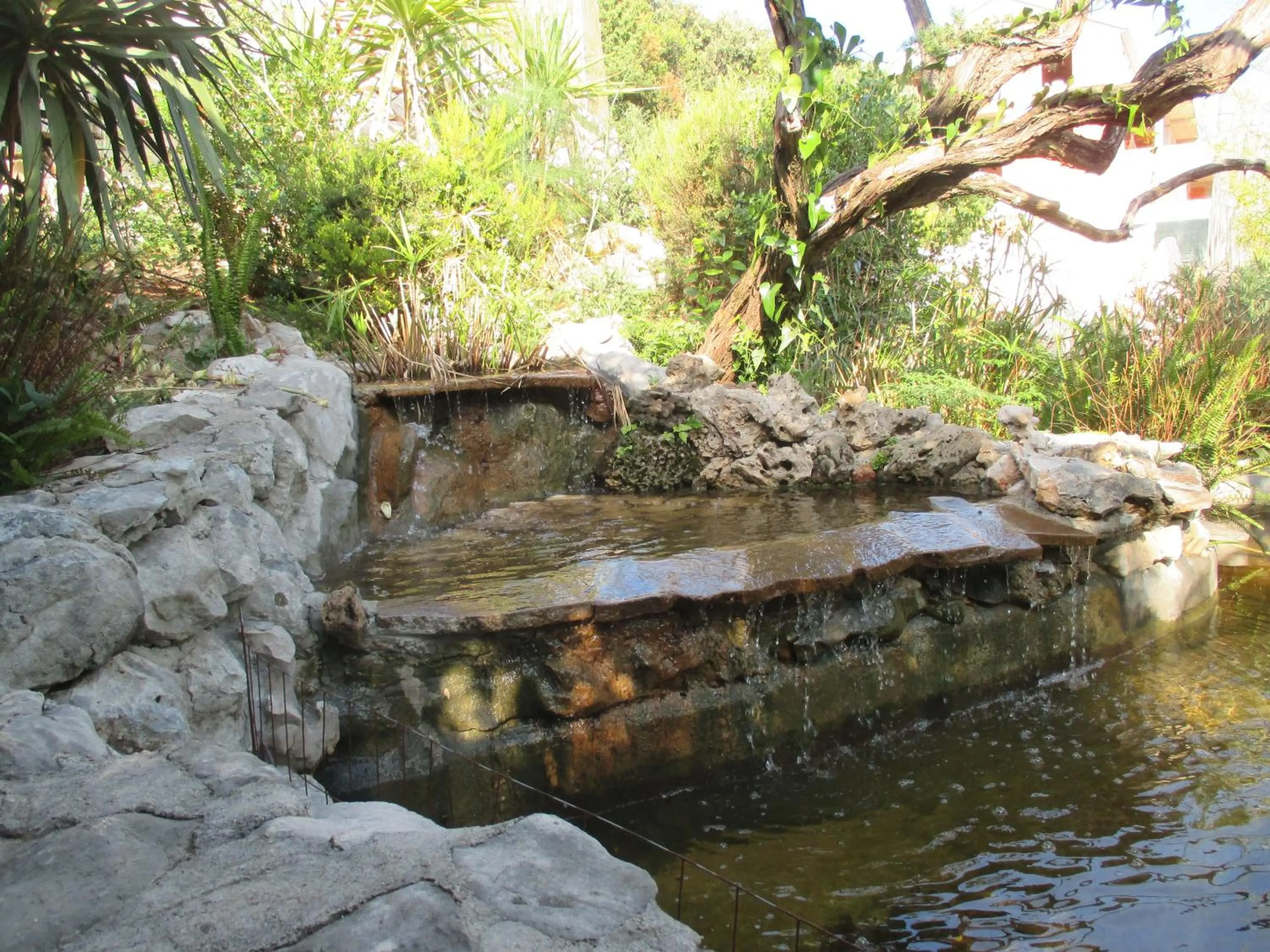 Garden in Relax tiny villas 40 meters of the beach