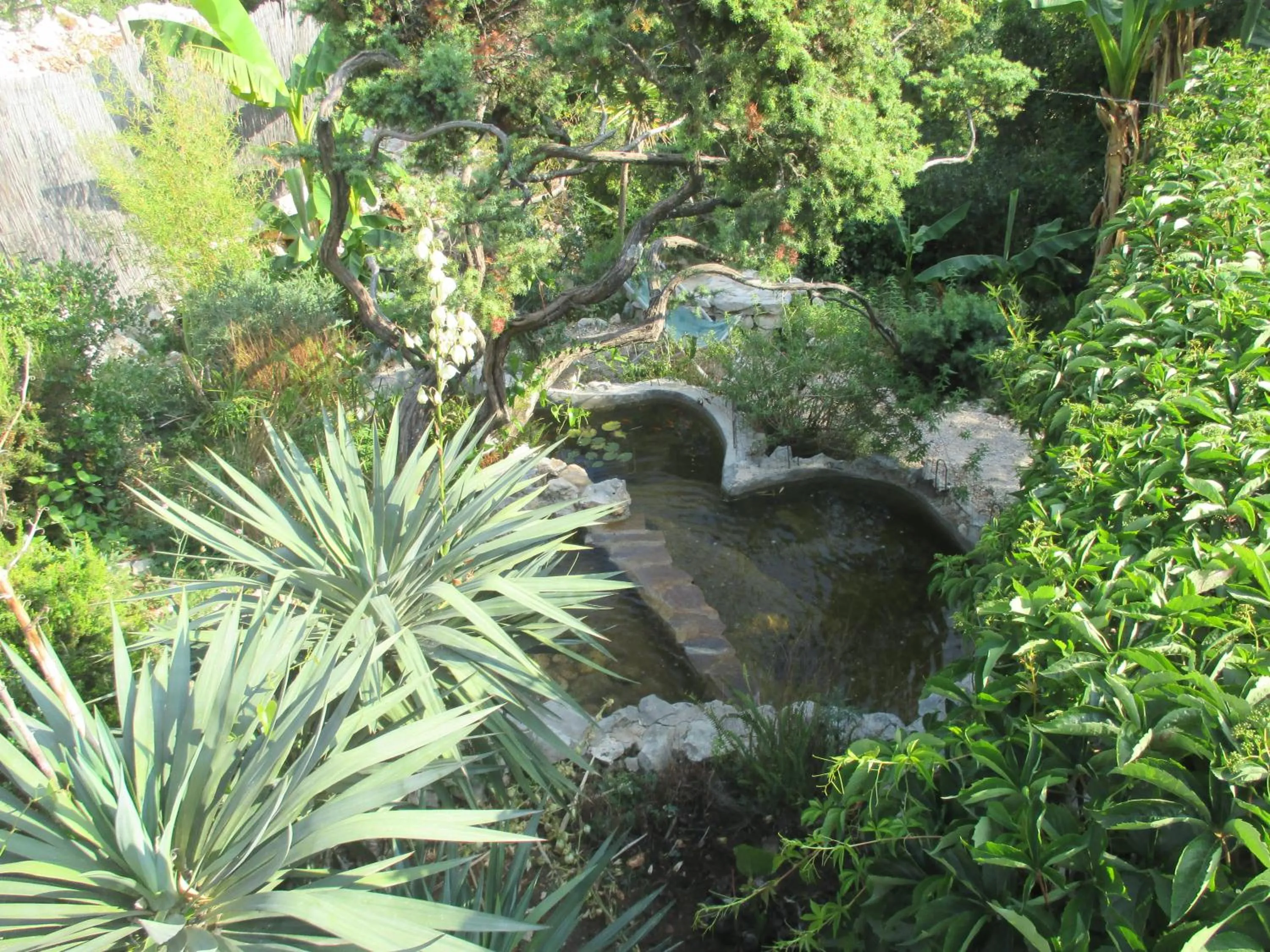 Garden in Relax tiny villas 40 meters of the beach