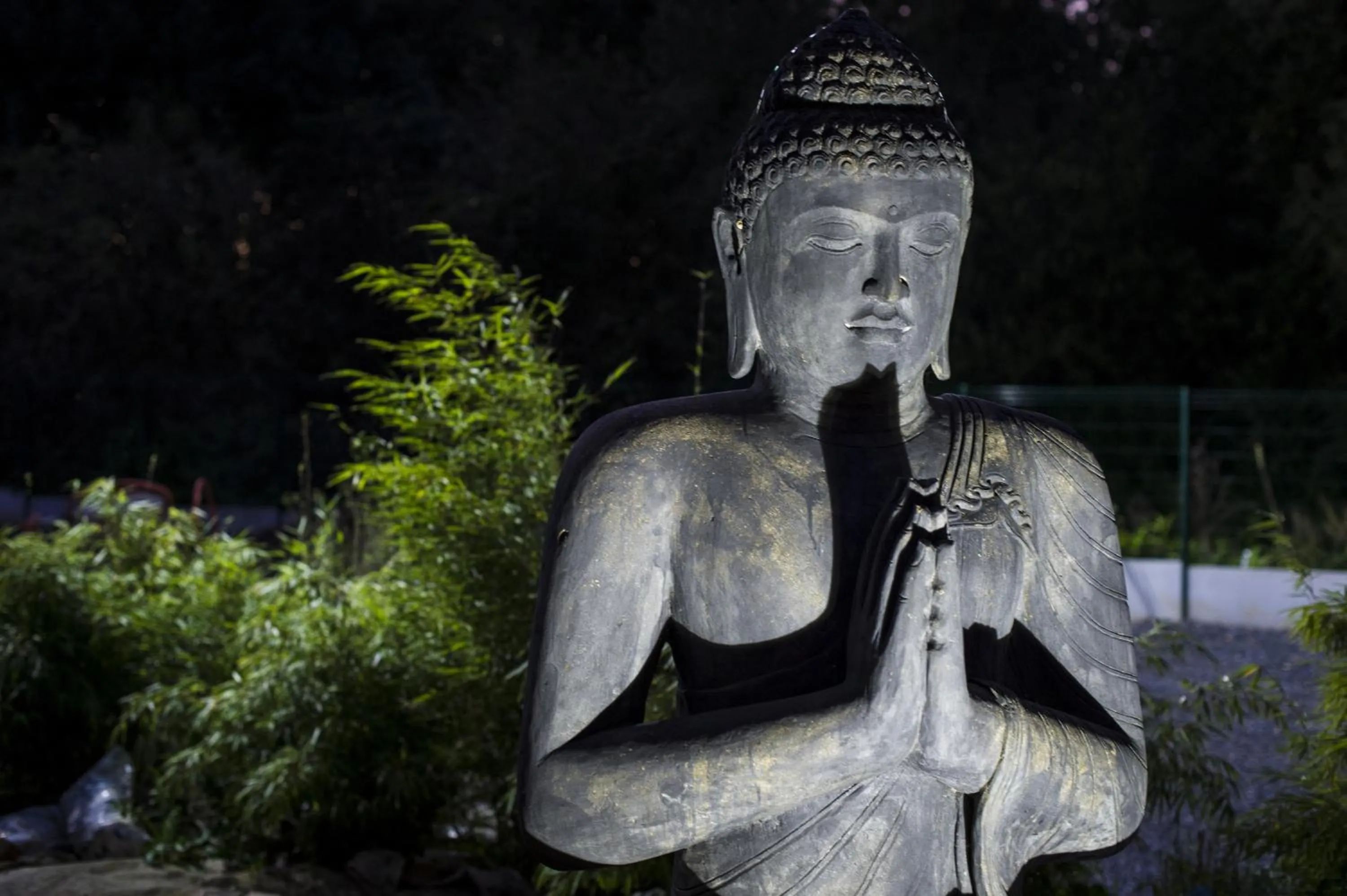 Garden in Espace Zen'ing