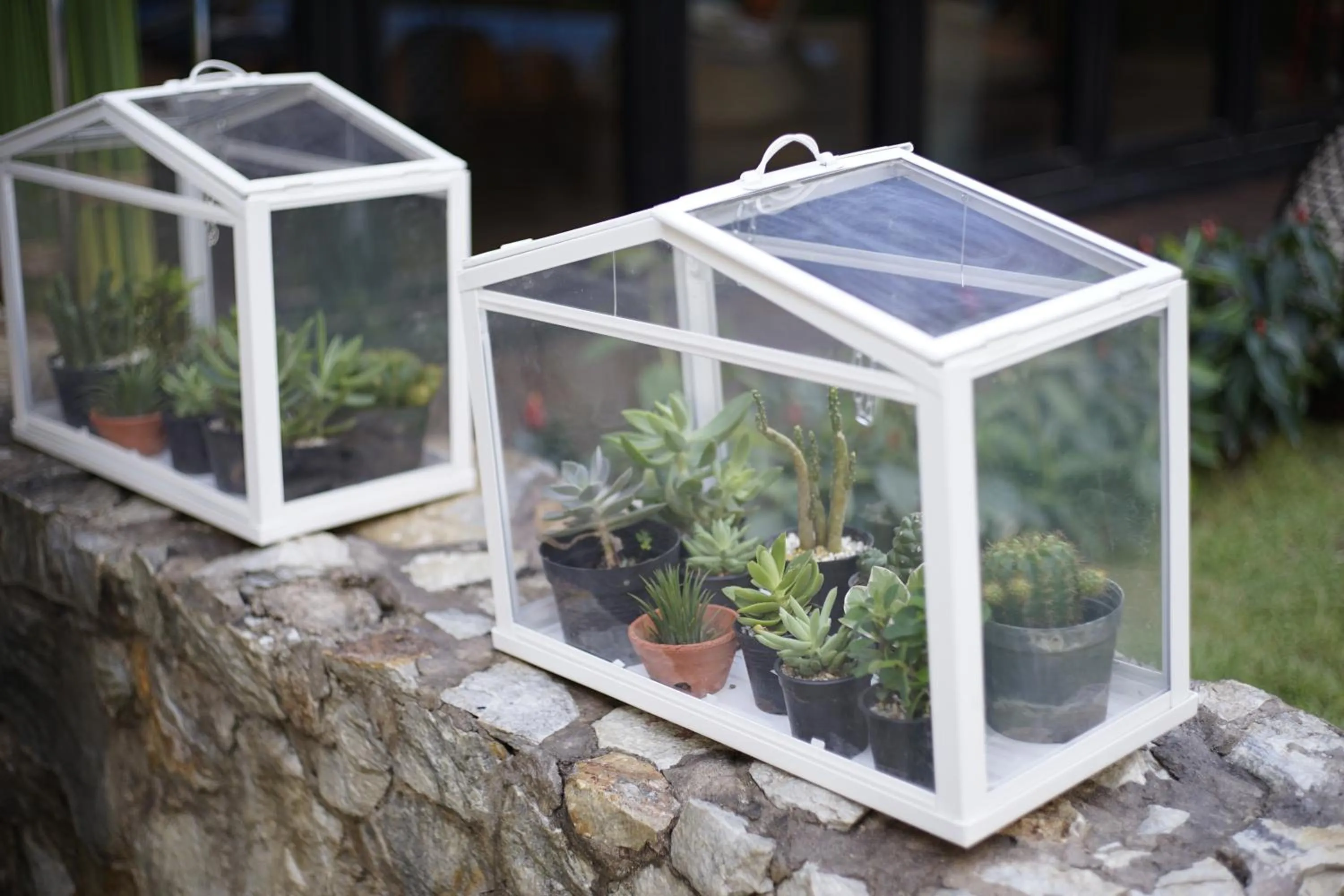 Decorative detail in Private Pool Villa 88 Nimman Chiangmai