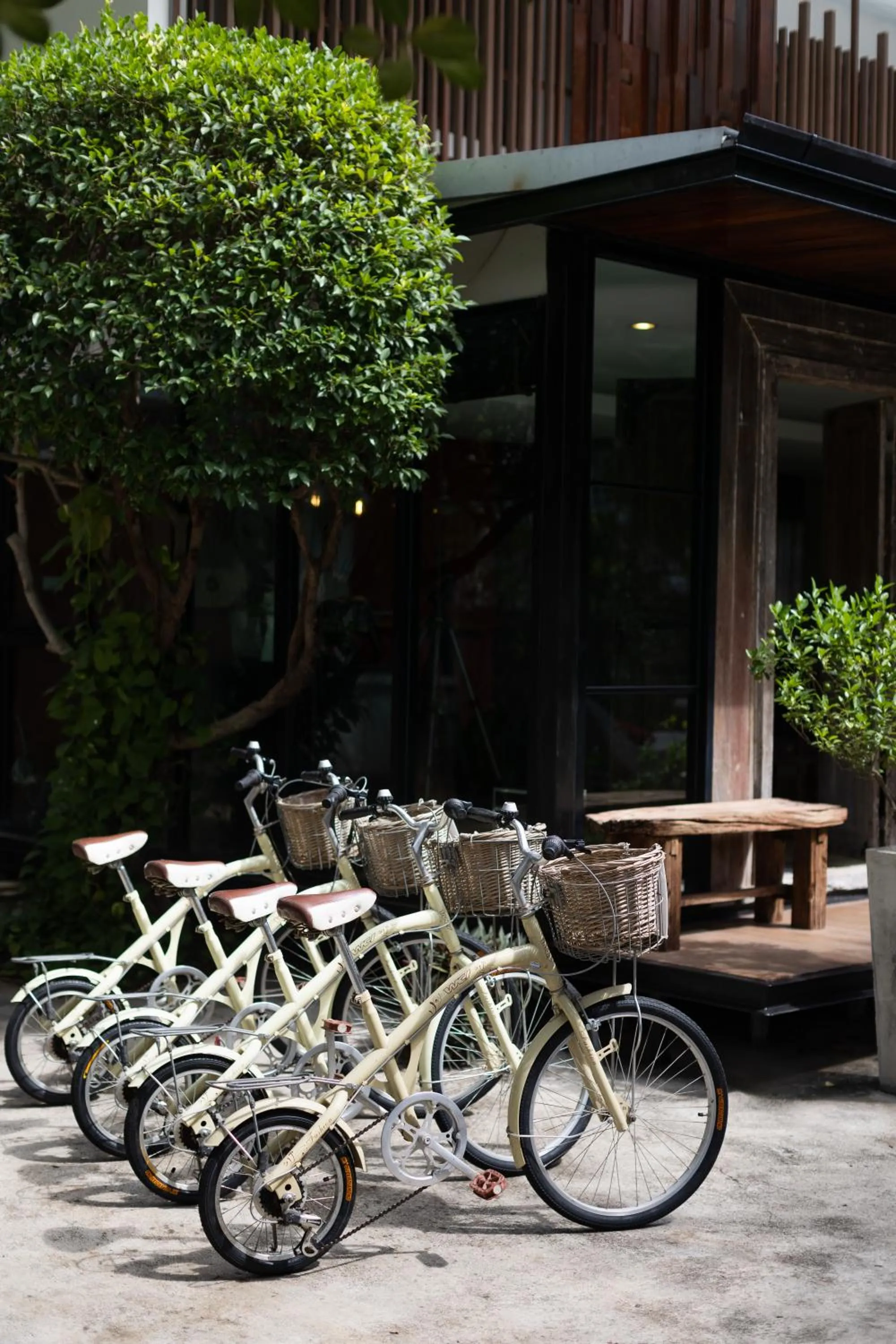 Day in Private Pool Villa 88 Nimman Chiangmai