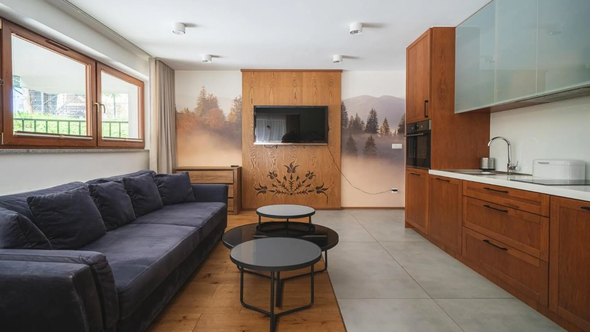TV and multimedia in Bogdańskiego Residence, Sun & Snow