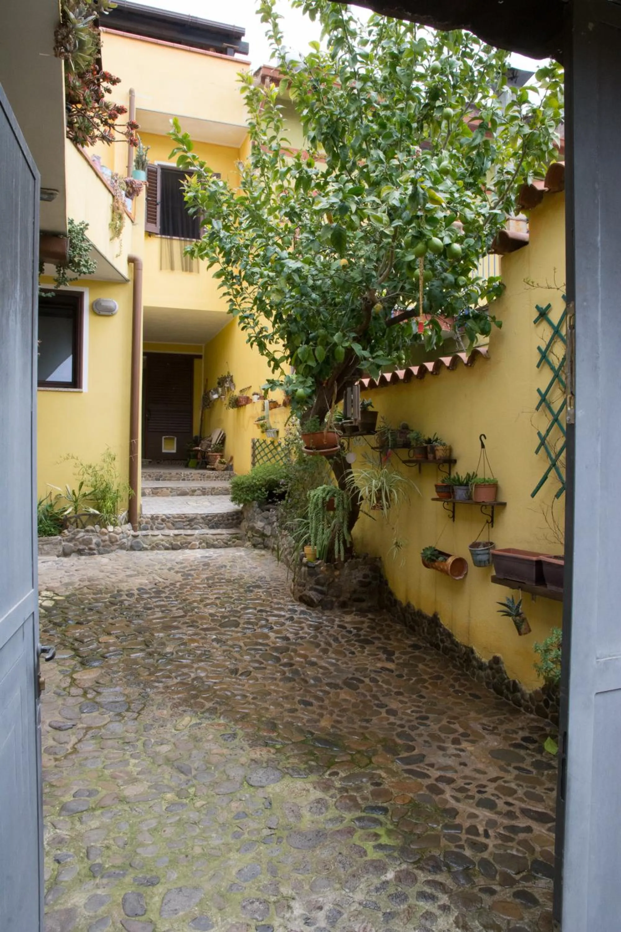 Garden in B&B Annalu'