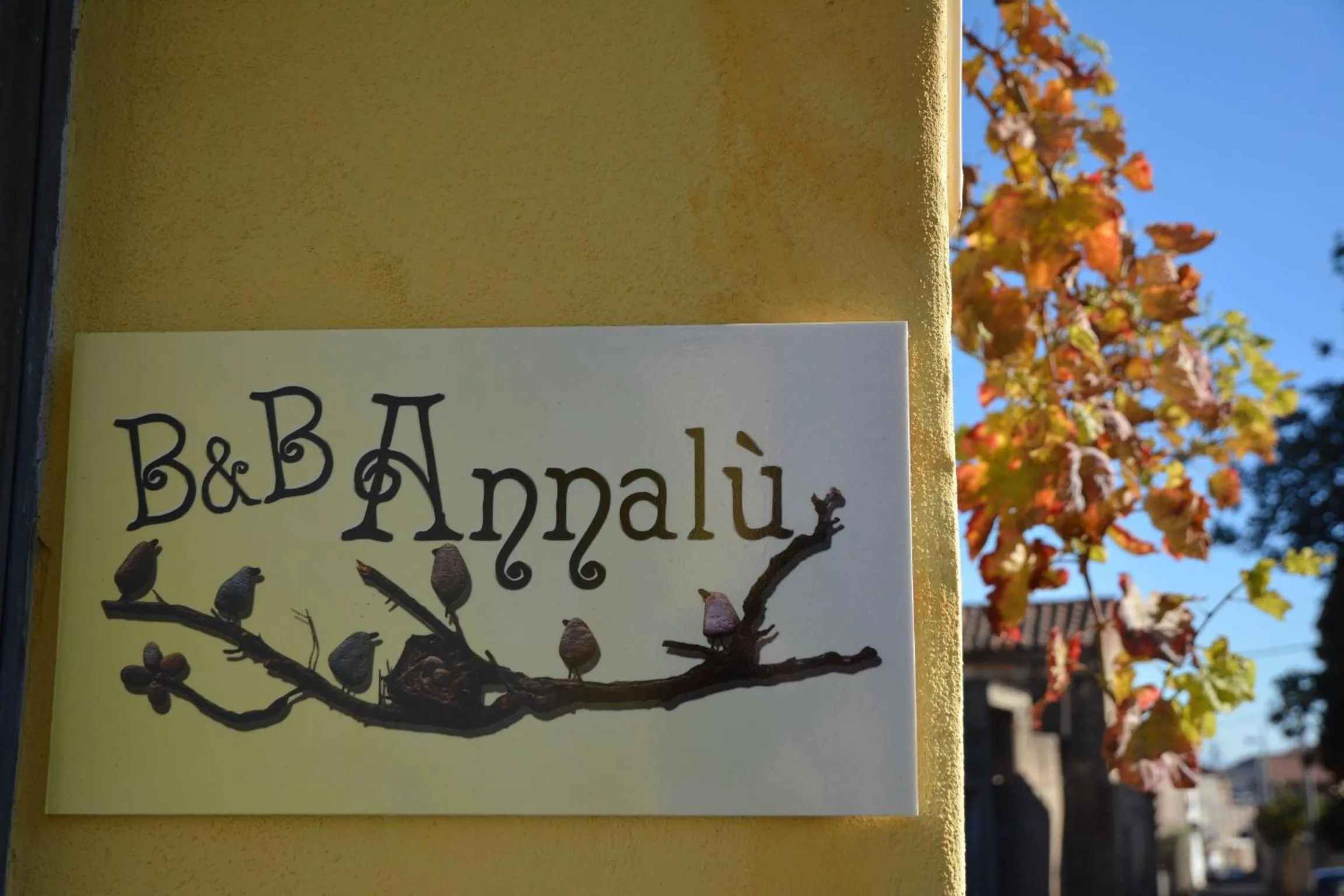 Property building in B&B Annalu'