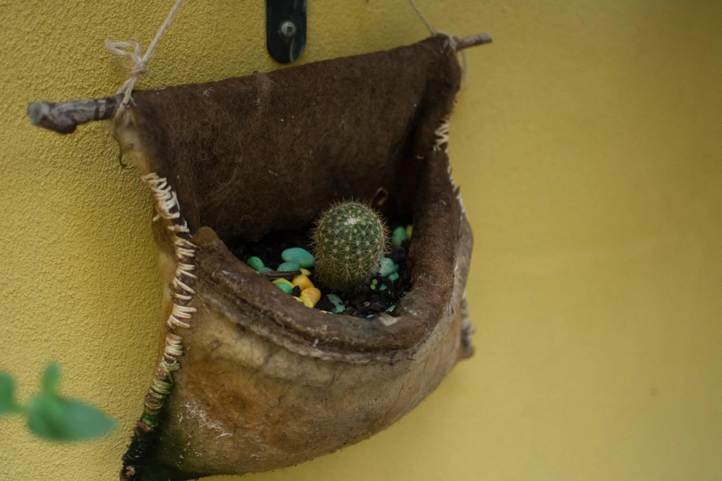 Decorative detail in B&B Annalu'