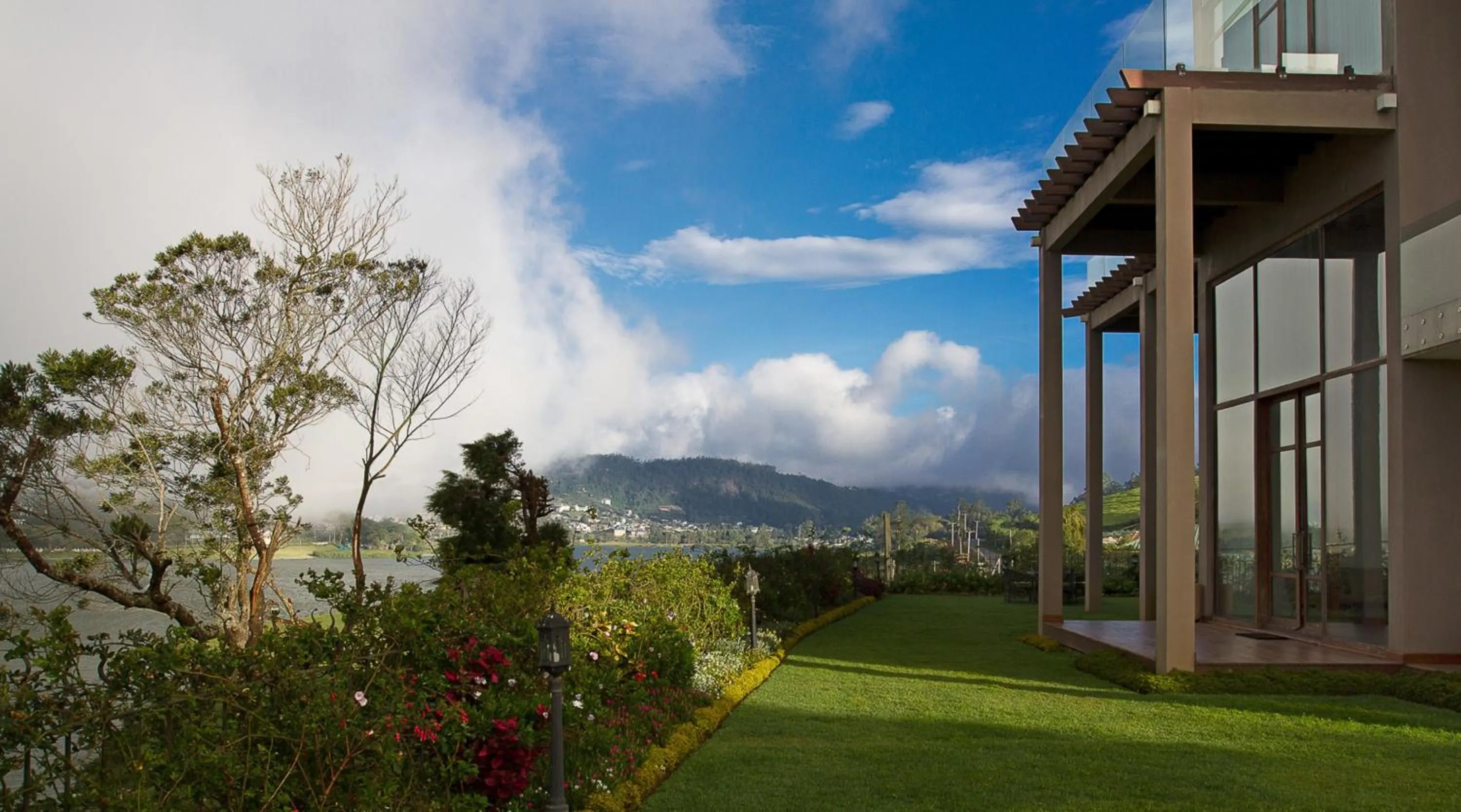 View (from property/room) in Tea Plant Nuwara Eliya