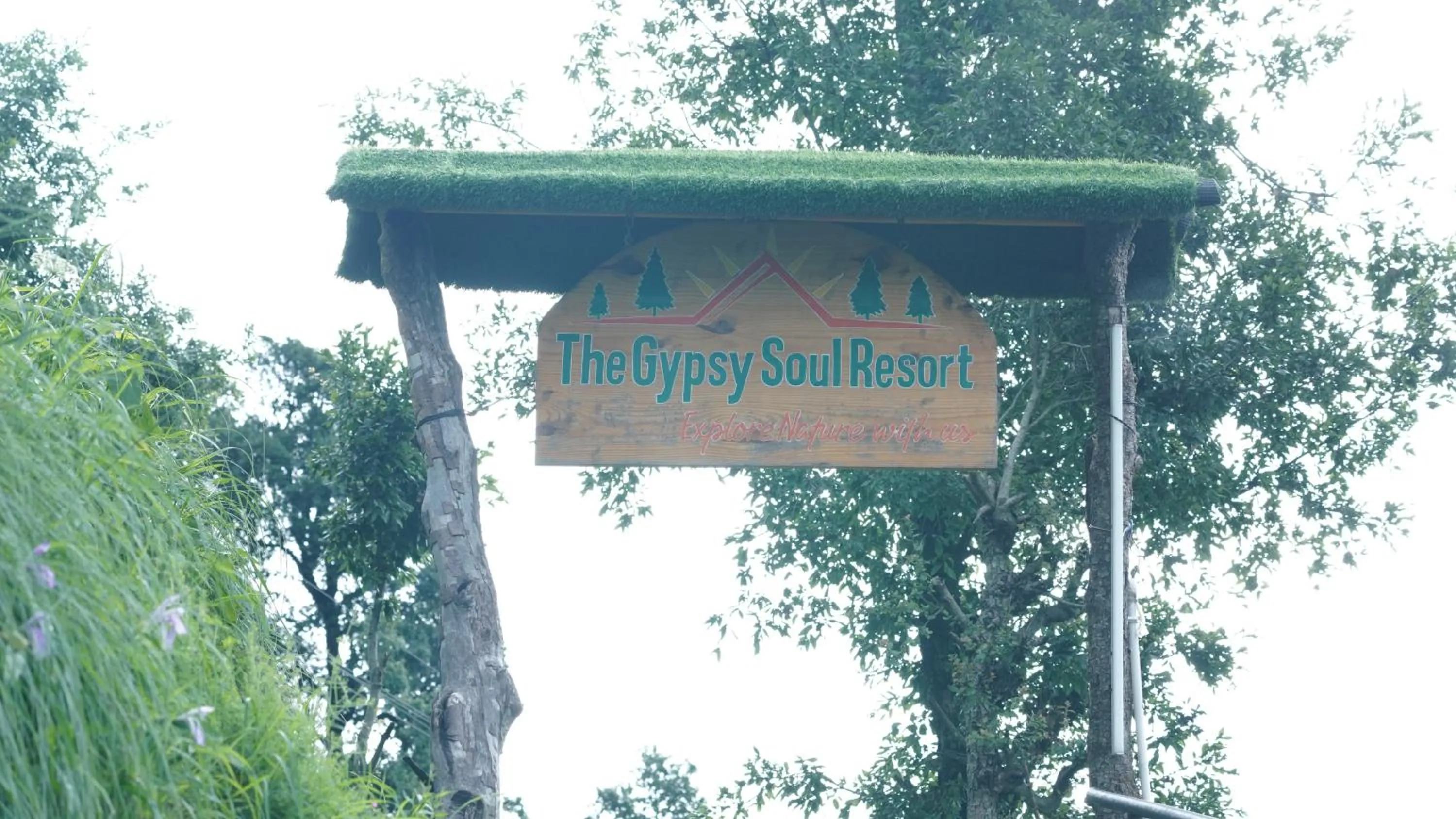 Facade/entrance in The Gypsy Soul