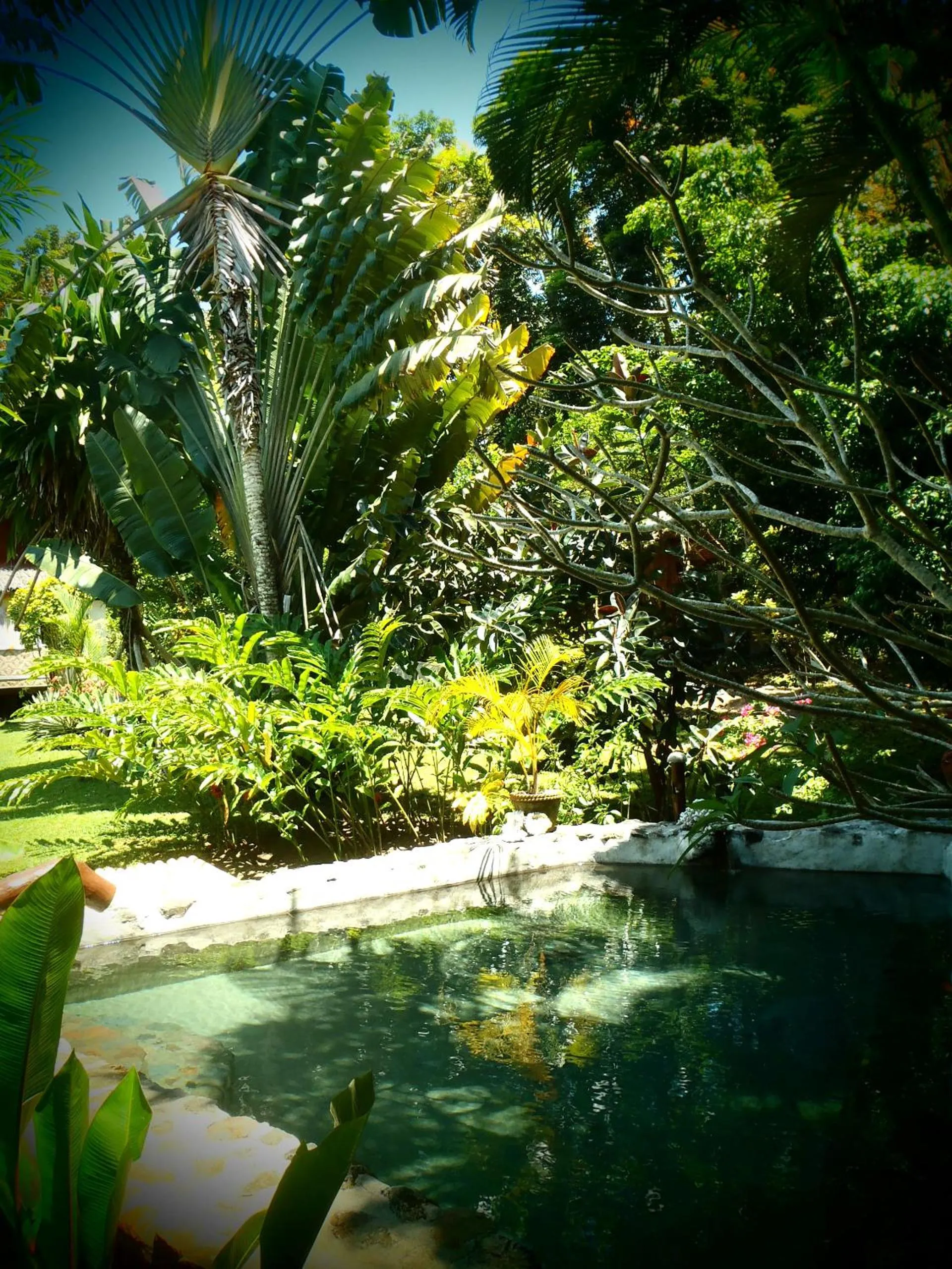  in Nypa Style Resort Camiguin