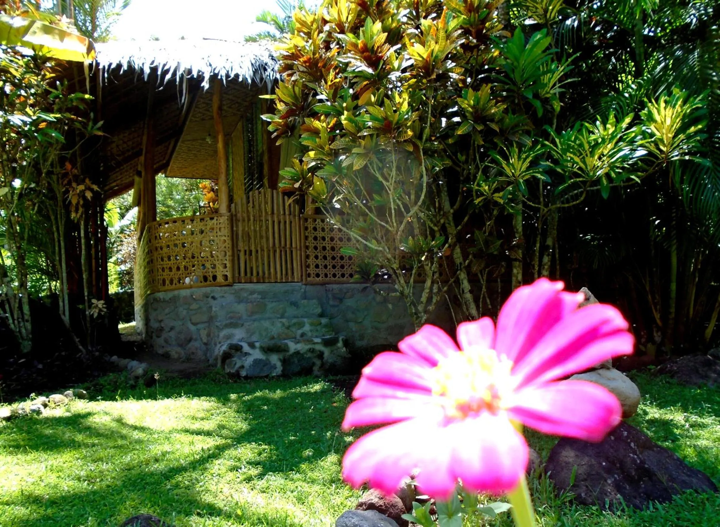 Property building in Nypa Style Resort Camiguin