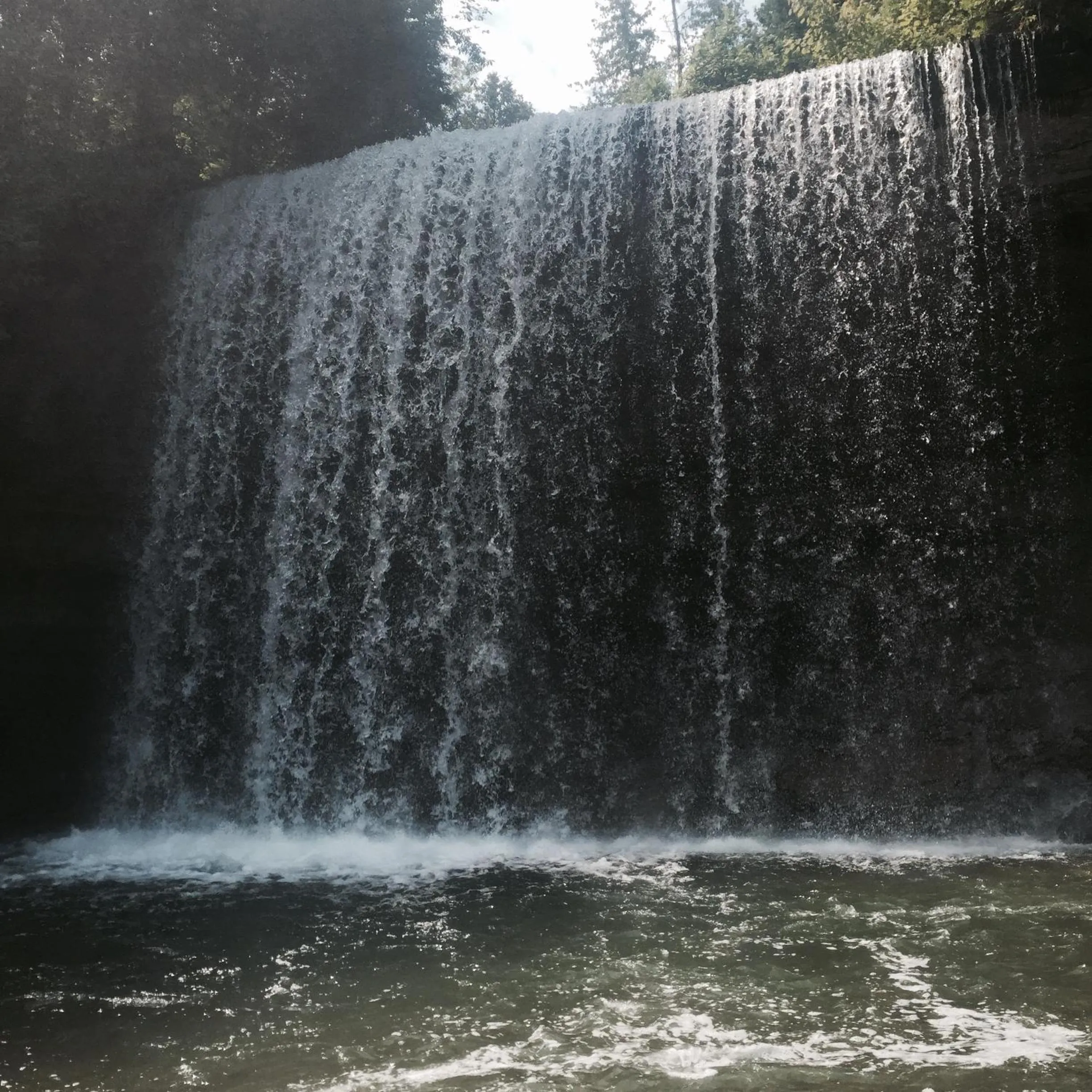 Other in My Friends Inn Manitoulin