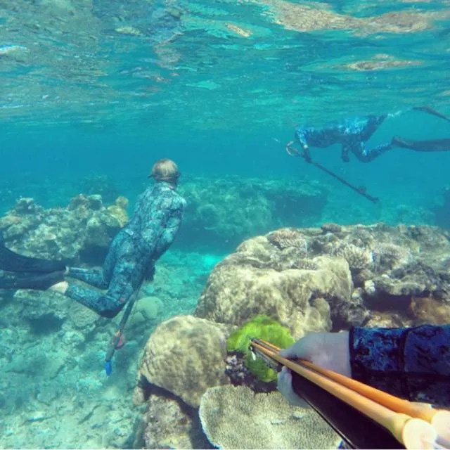 Kurrimine Beach Motel