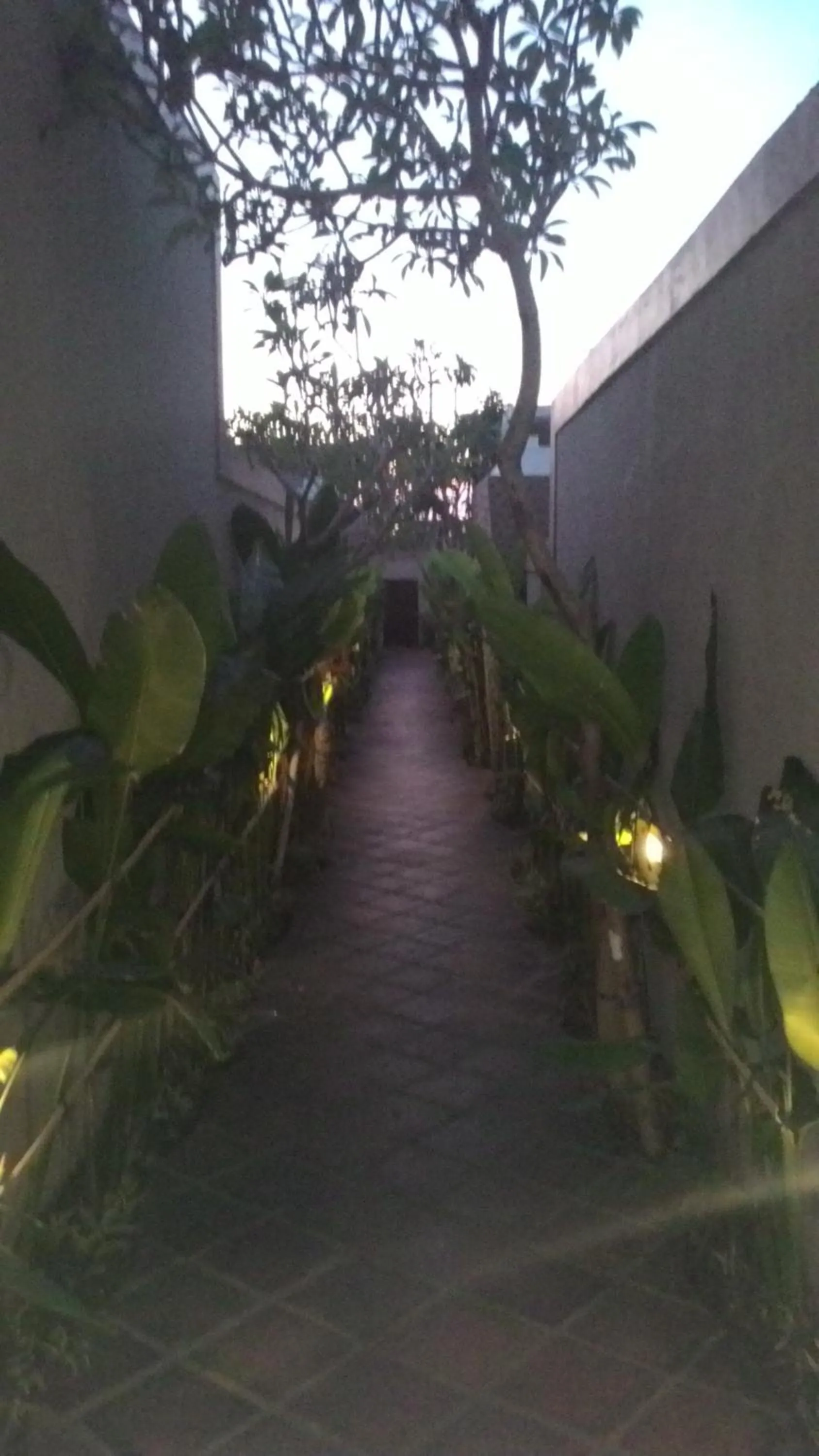 Garden in Buana Bali Villas & Spa