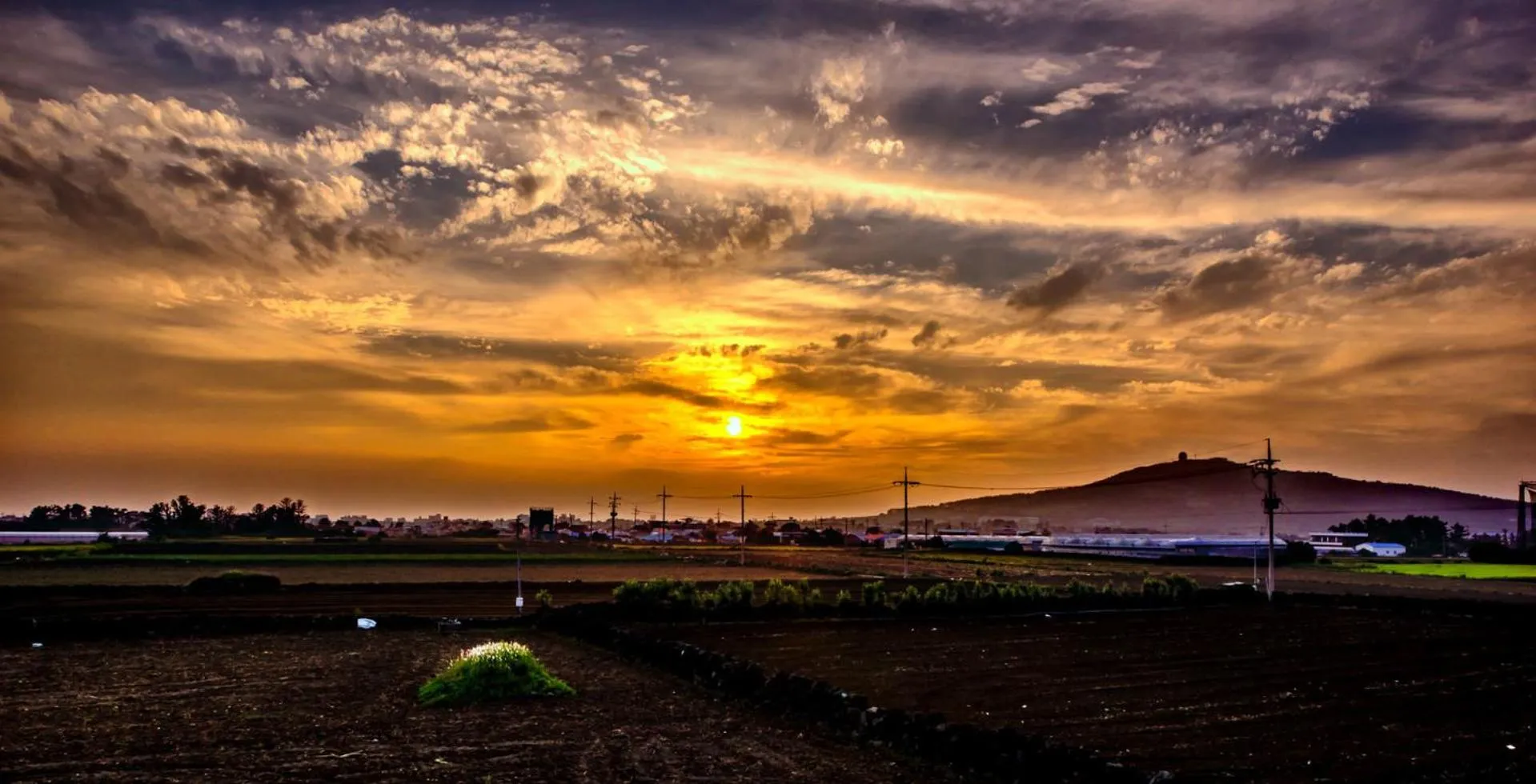 View (from property/room) in Boreum Pension