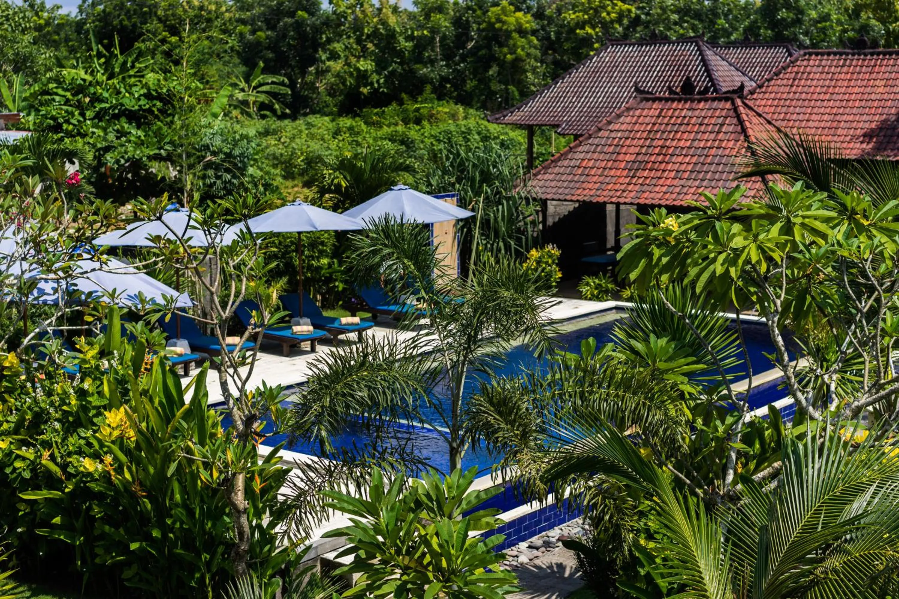 Swimming pool in The Cozy Villas Lembongan