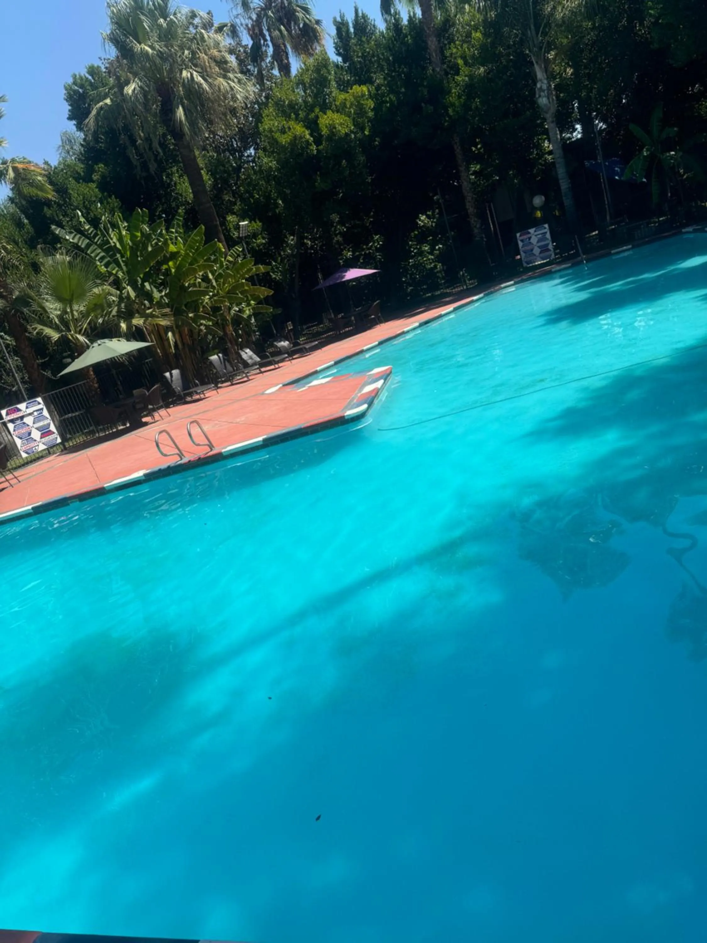 Pool view in Hiltop Hotel