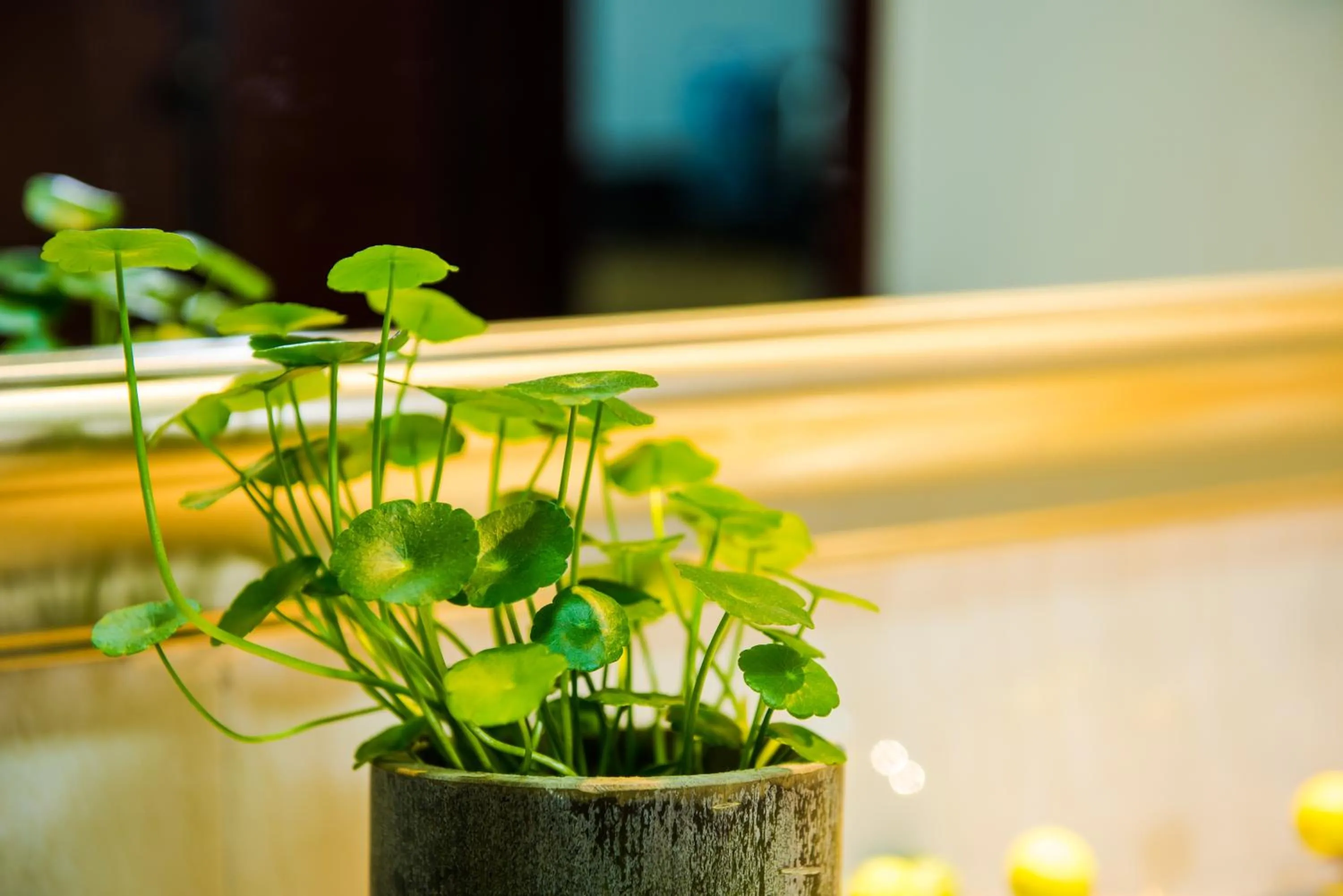 Decorative detail in Xizhengjia Apartment Hotel Pazhou Complex