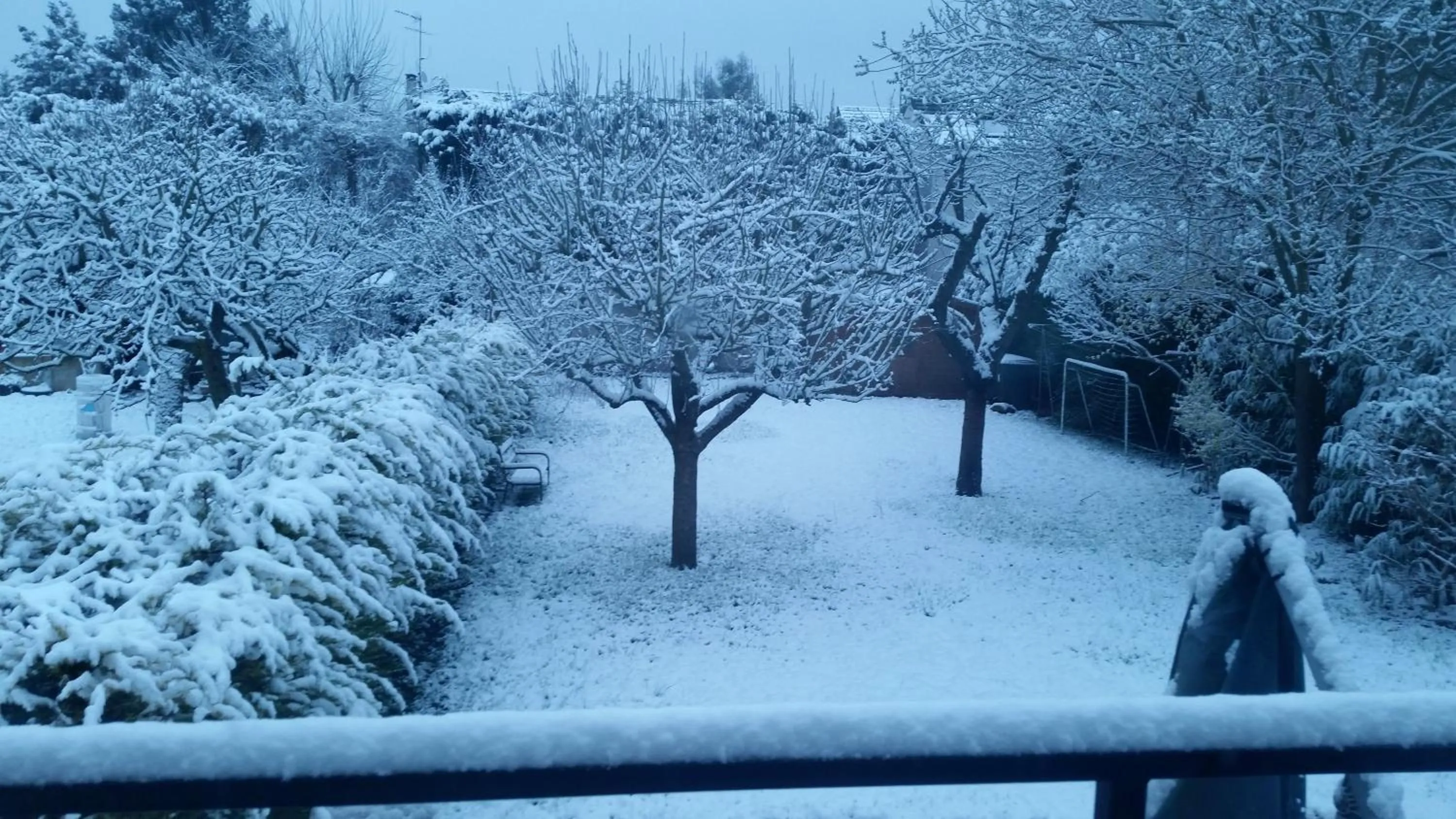 Garden view in Chambre Avec Jardin Pierre Curie