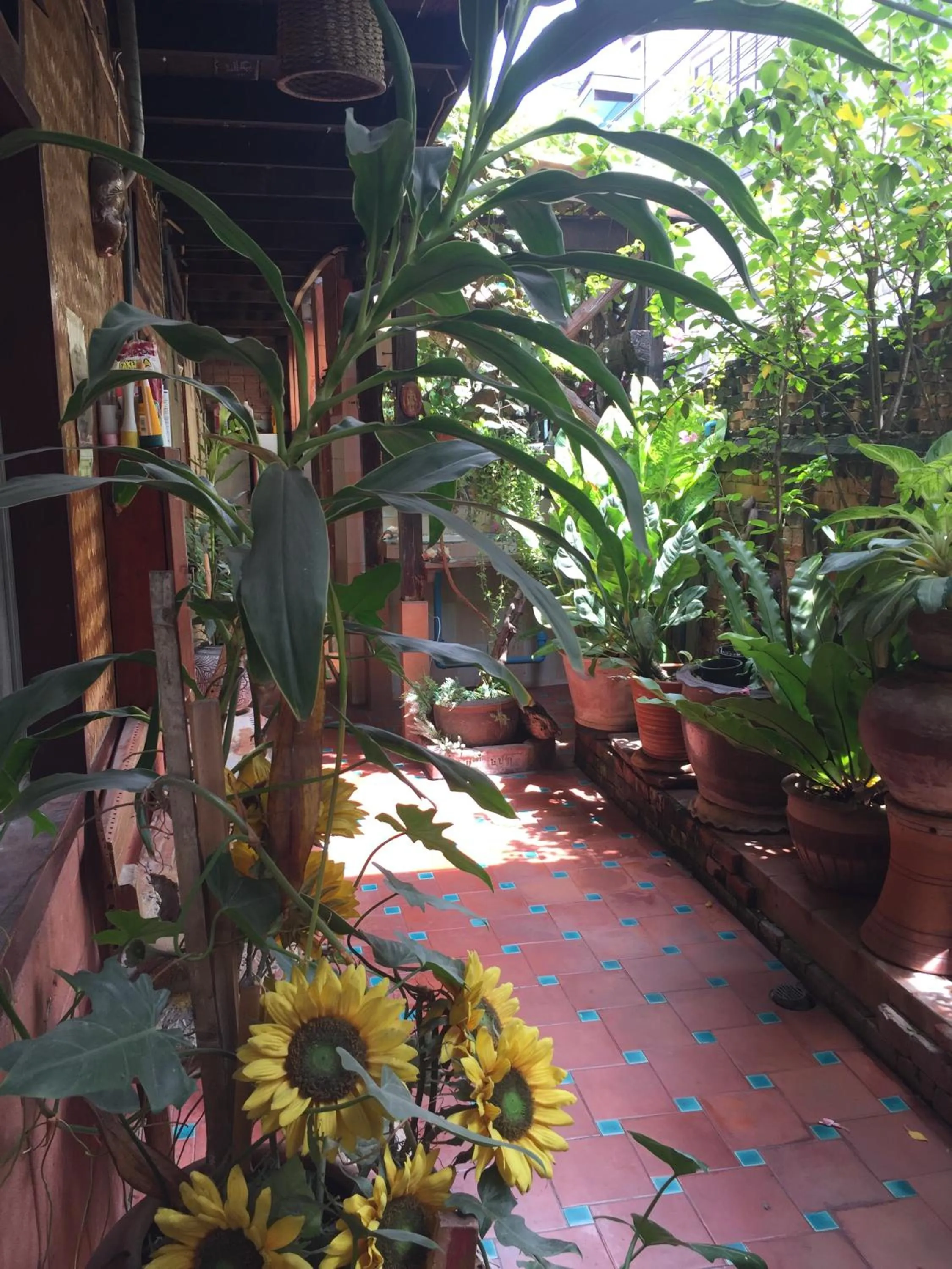 Property building in Shanti Lodge